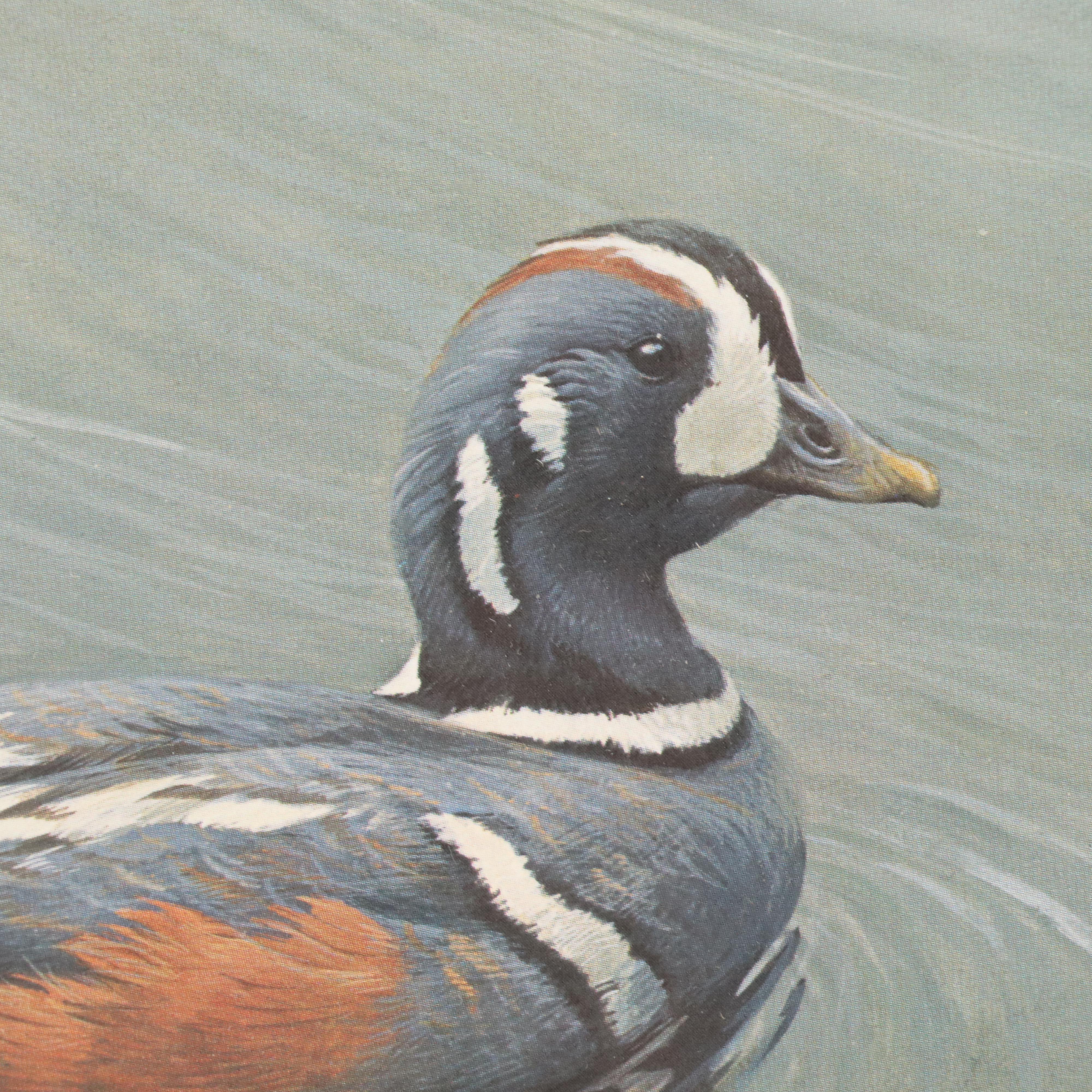 Set of Waterfowl Stamps, Including Washington Migratory Waterfowl, 1988