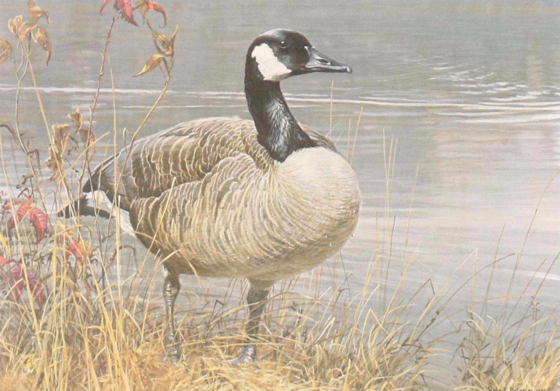 Set of Waterfowl Stamps, Including Washington Migratory Waterfowl, 1988