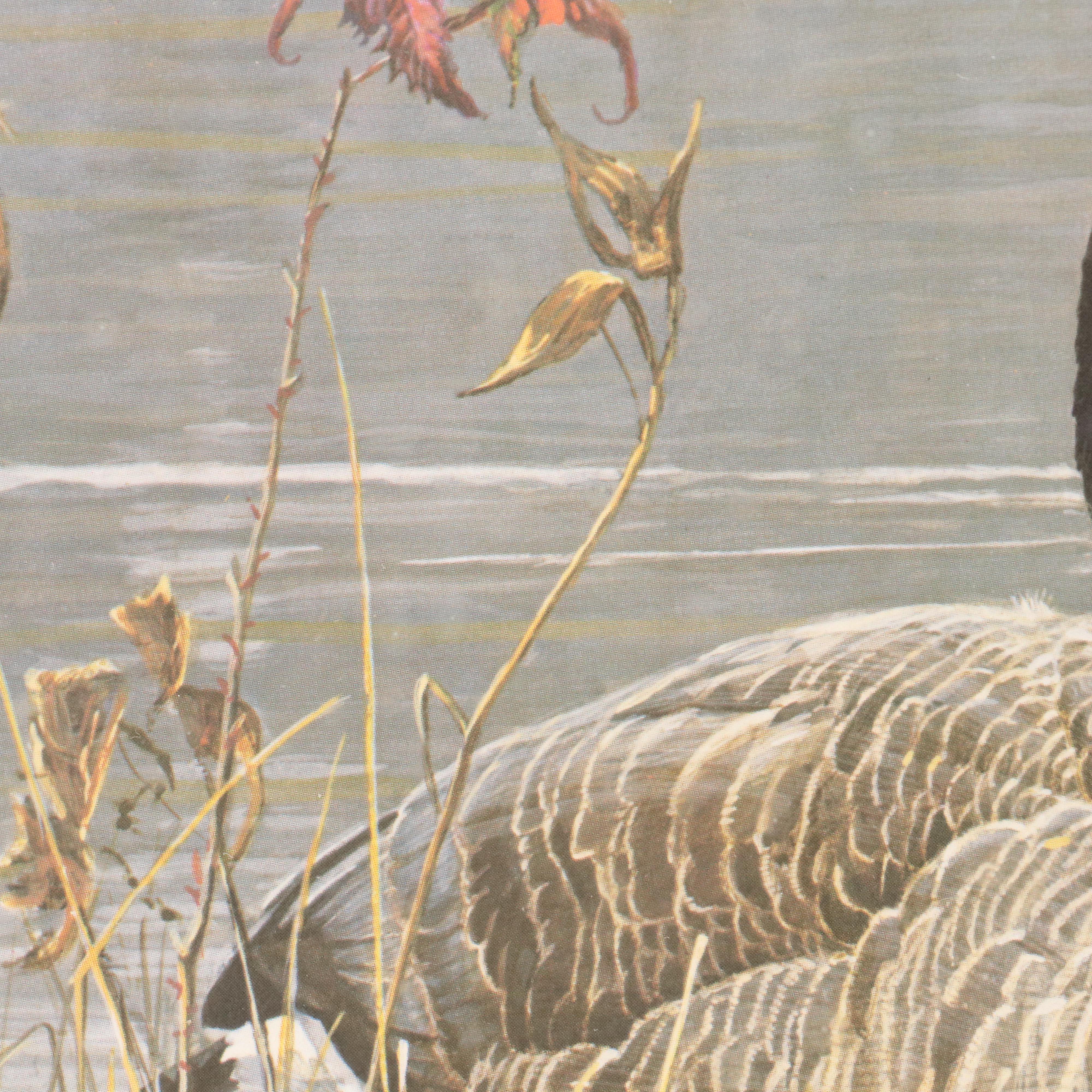 Set of Waterfowl Stamps, Including Washington Migratory Waterfowl, 1988