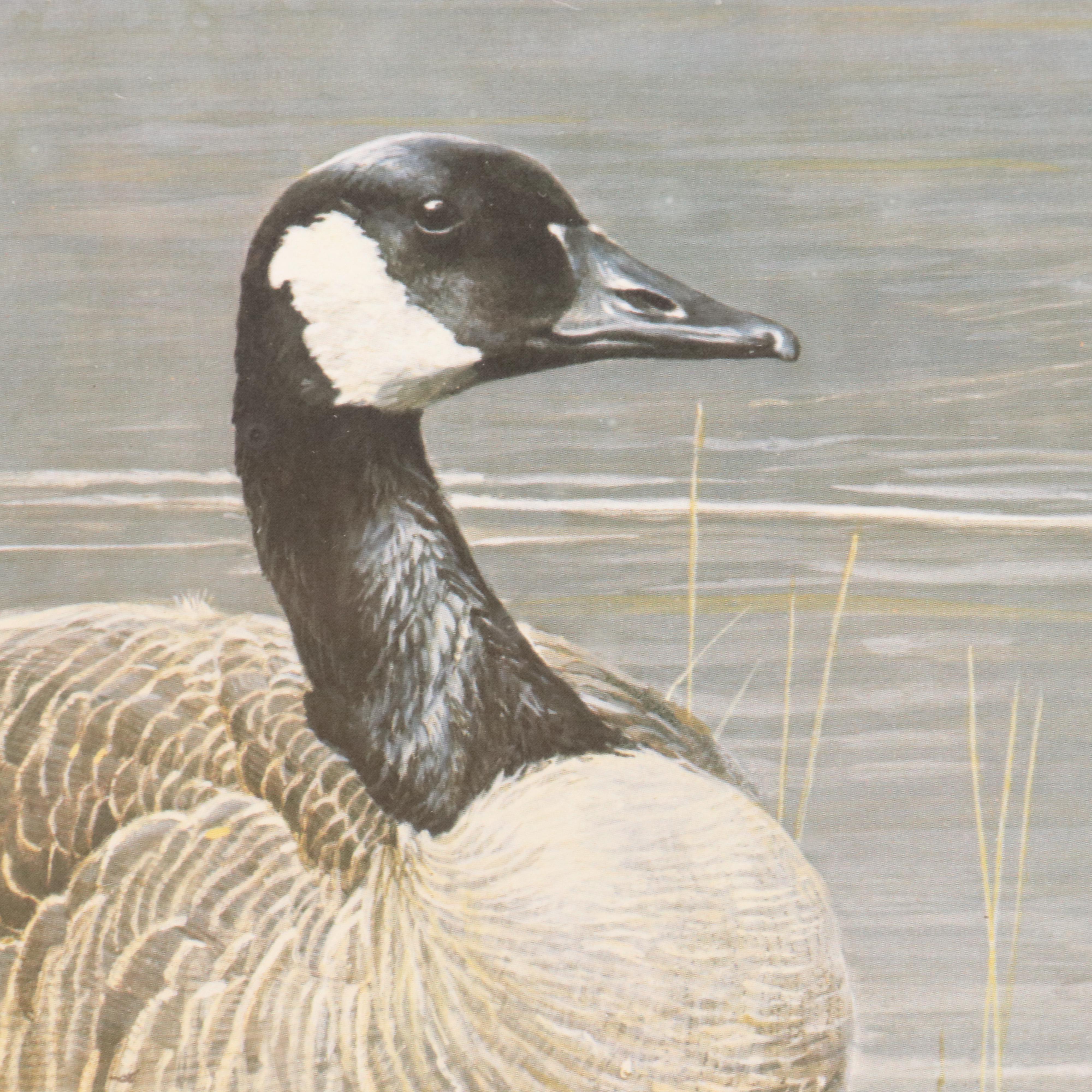 Set of Waterfowl Stamps, Including Washington Migratory Waterfowl, 1988