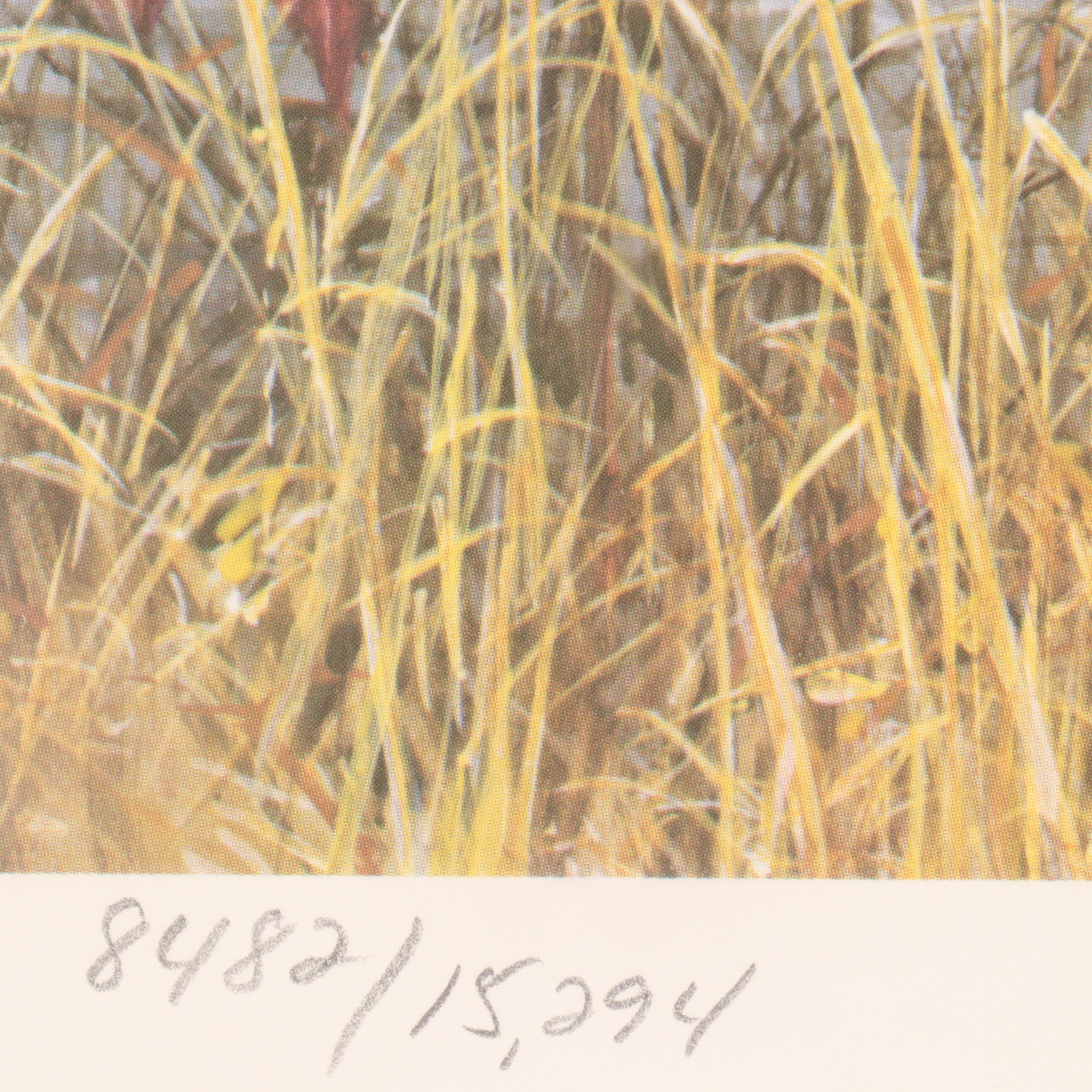 Set of Waterfowl Stamps, Including Washington Migratory Waterfowl, 1988