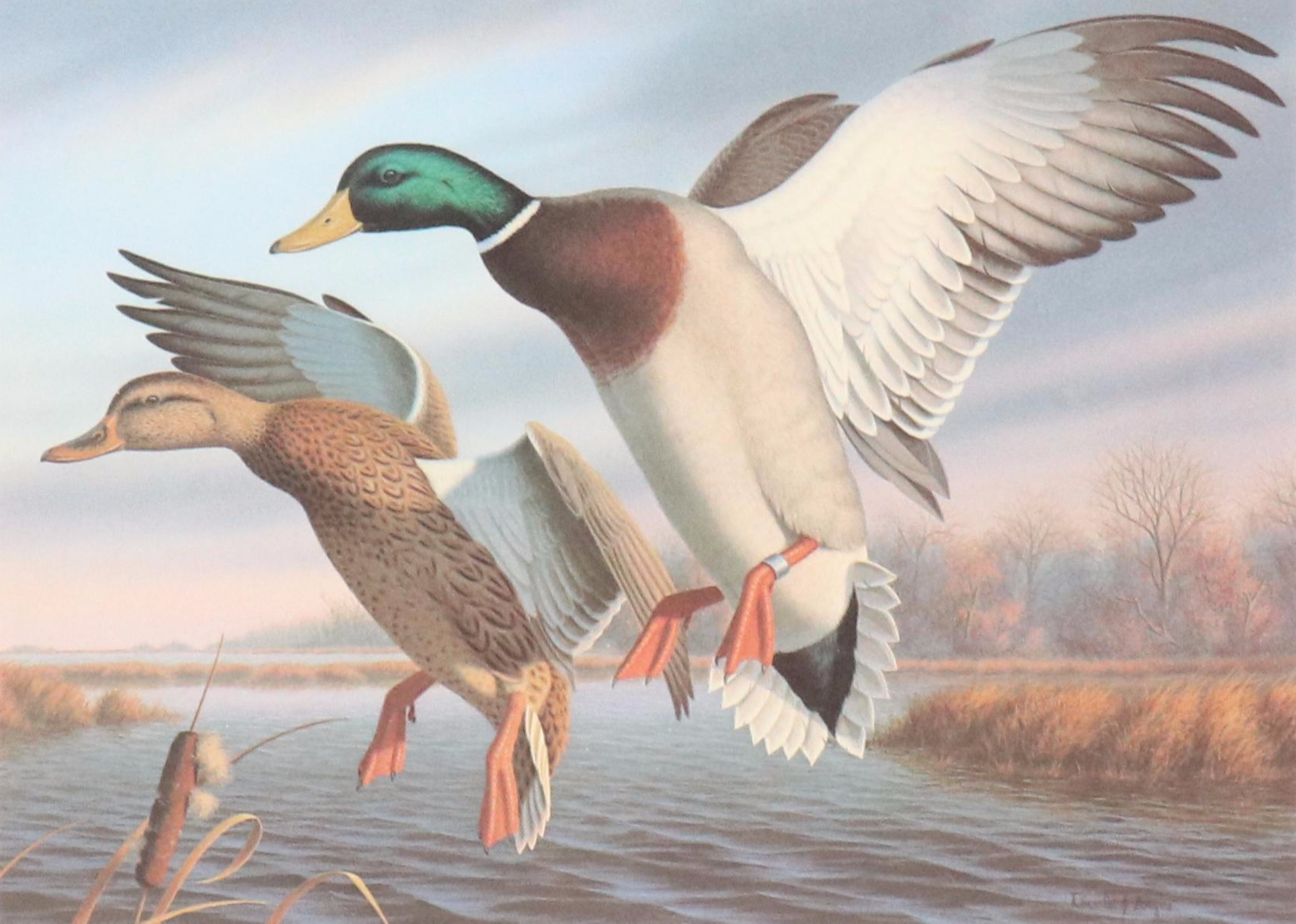 Set of Waterfowl Stamps, Including Washington Migratory Waterfowl, 1988