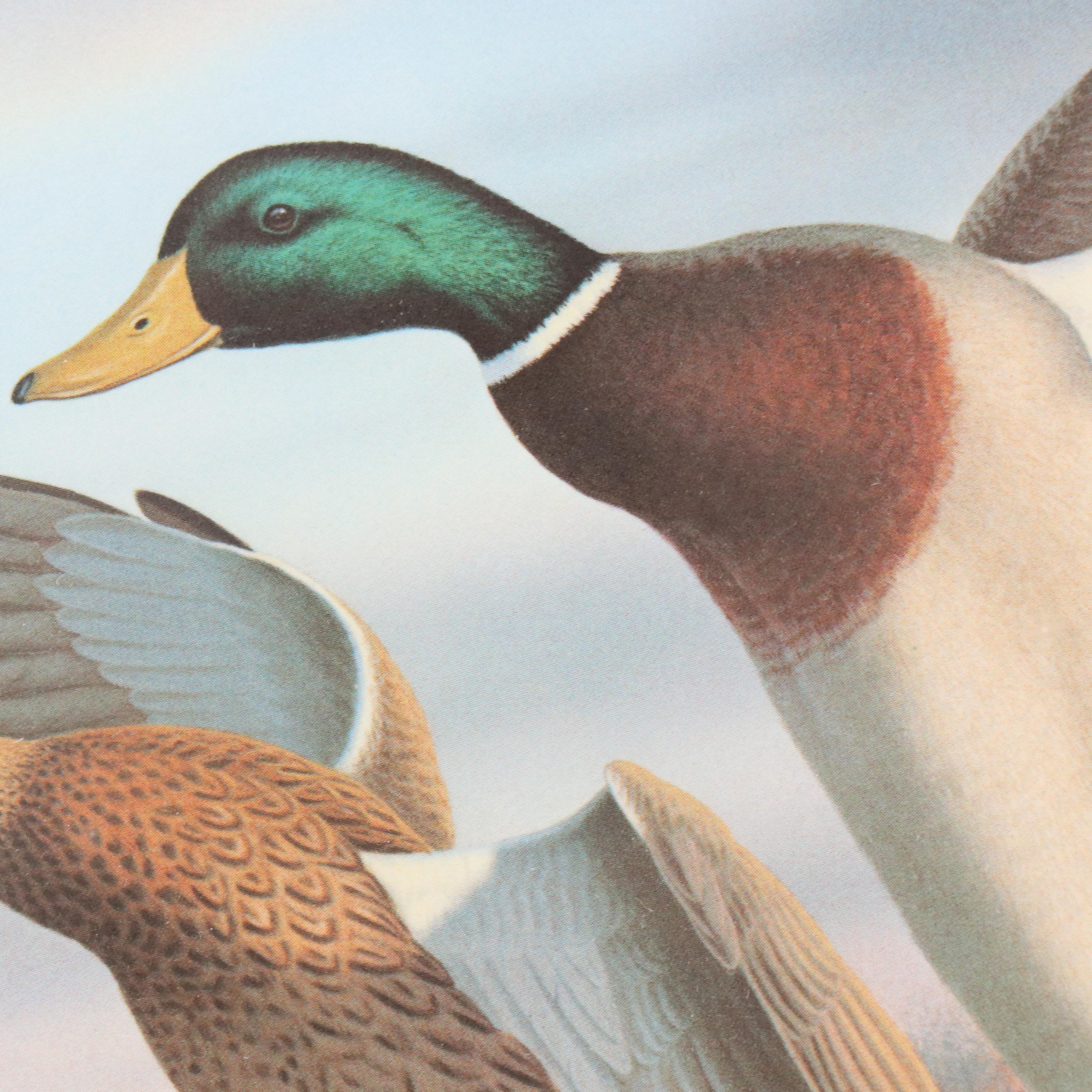 Set of Waterfowl Stamps, Including Washington Migratory Waterfowl, 1988