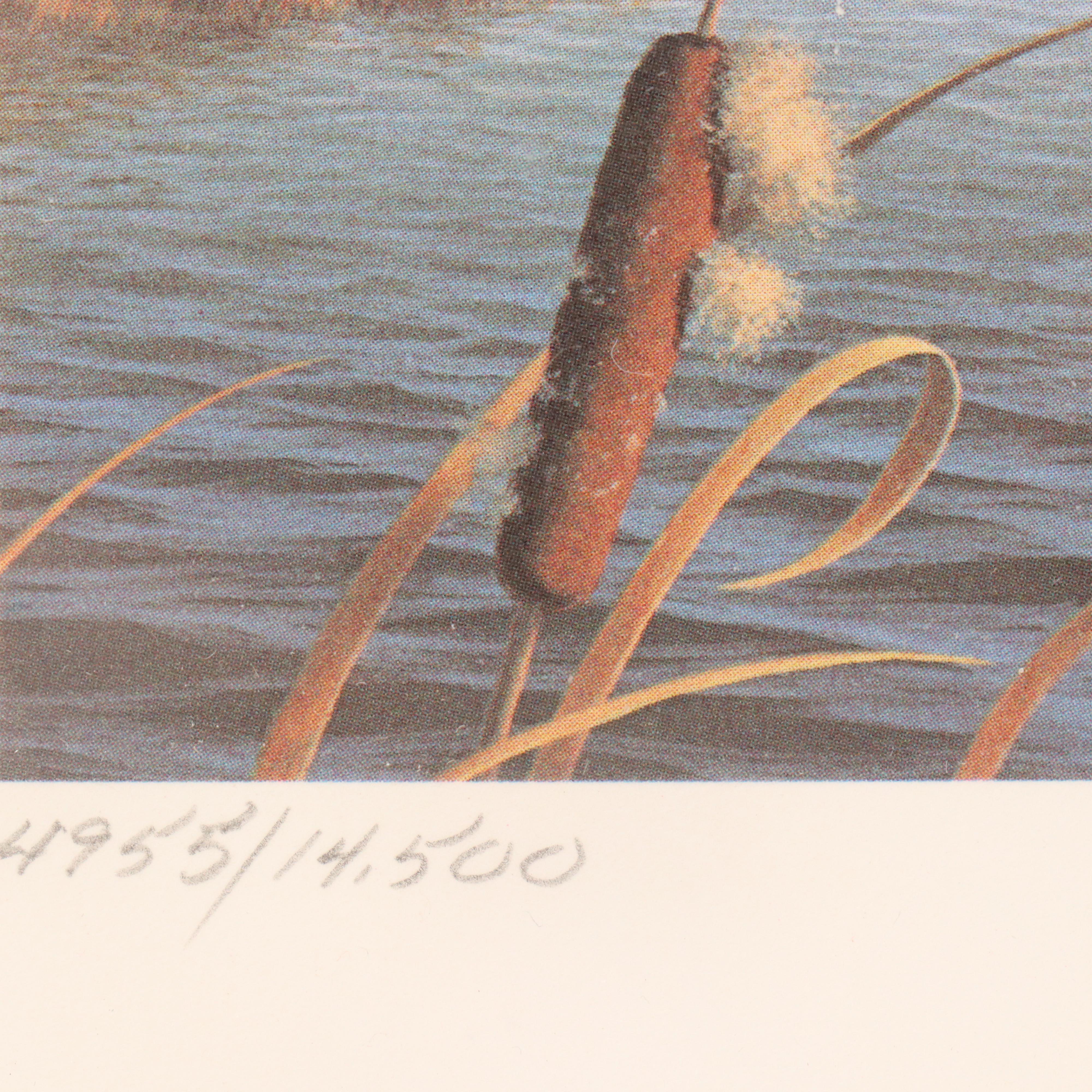 Set of Waterfowl Stamps, Including Washington Migratory Waterfowl, 1988