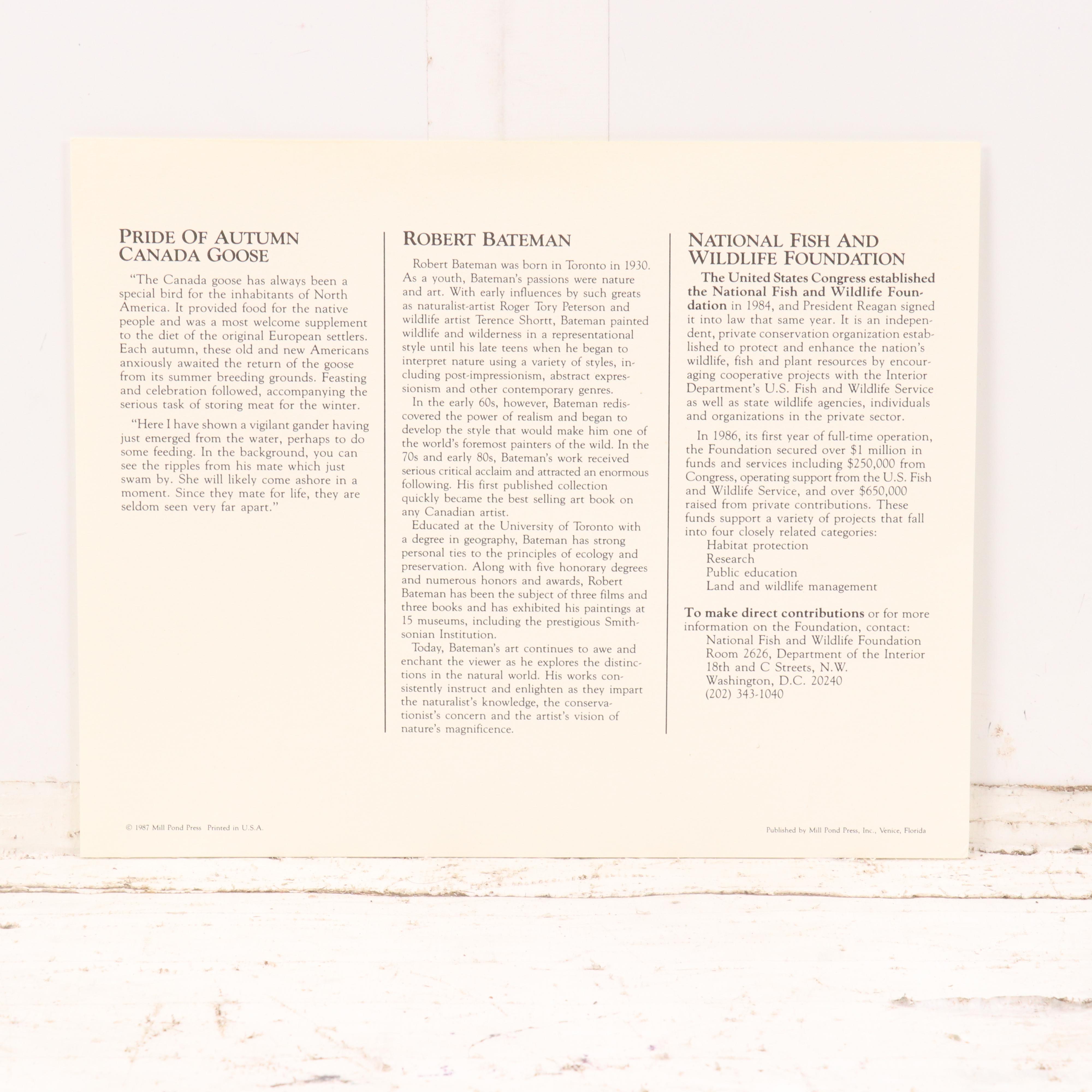 Set of Waterfowl Stamps, Including Washington Migratory Waterfowl, 1988