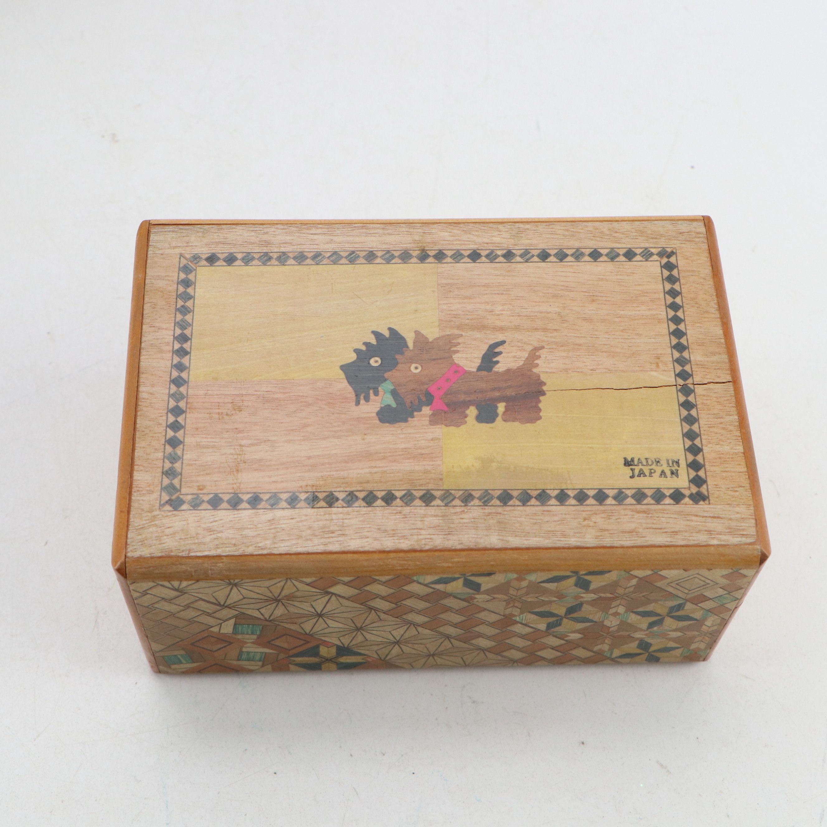 Christmas Dressed and Other Dog Figurines with Books and Other Décor