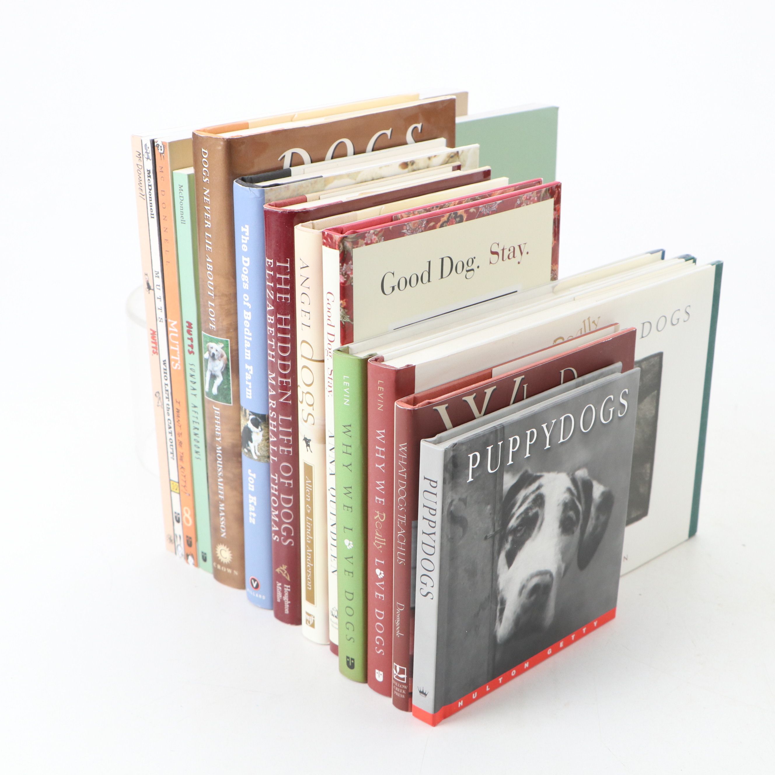 Christmas Dressed and Other Dog Figurines with Books and Other Décor