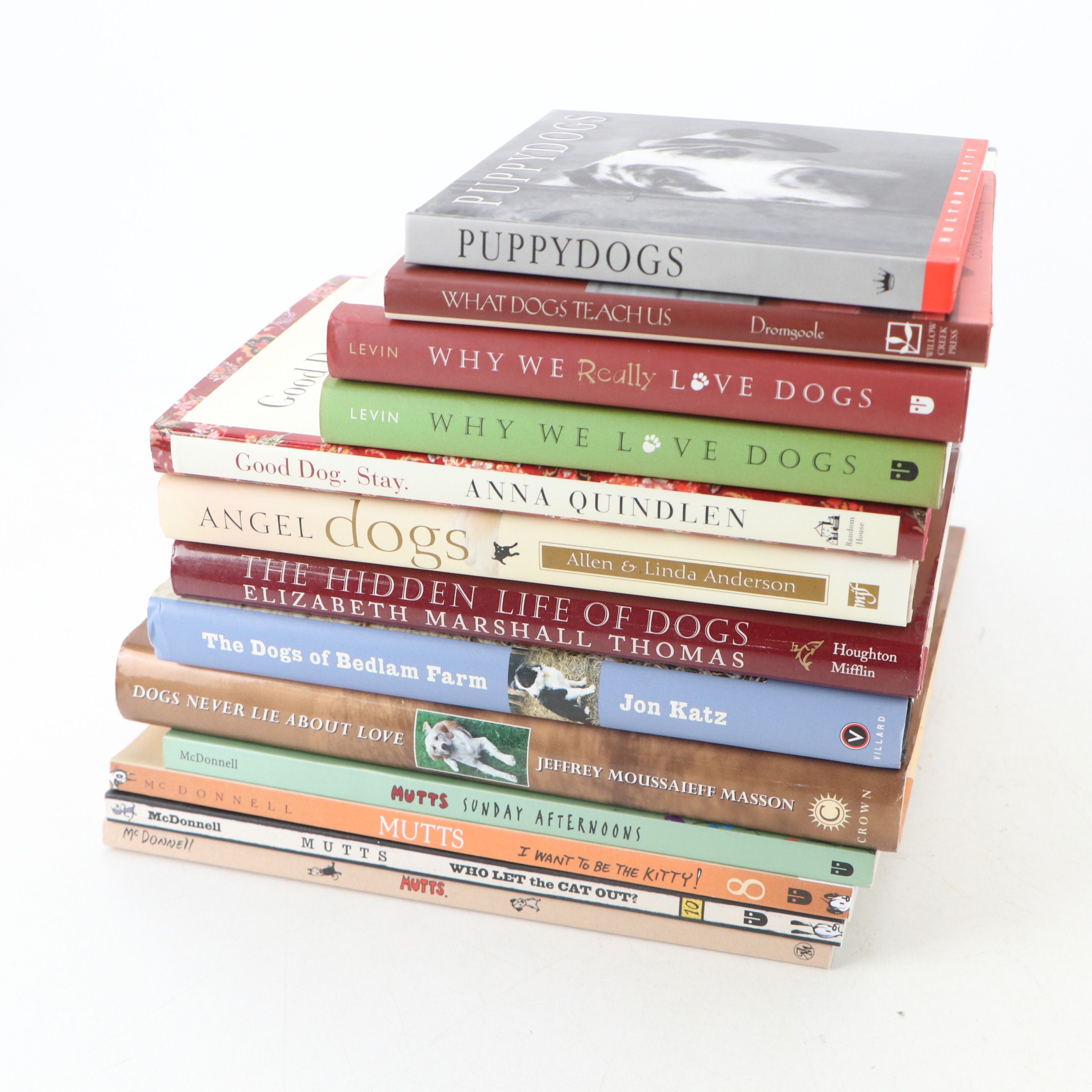 Christmas Dressed and Other Dog Figurines with Books and Other Décor