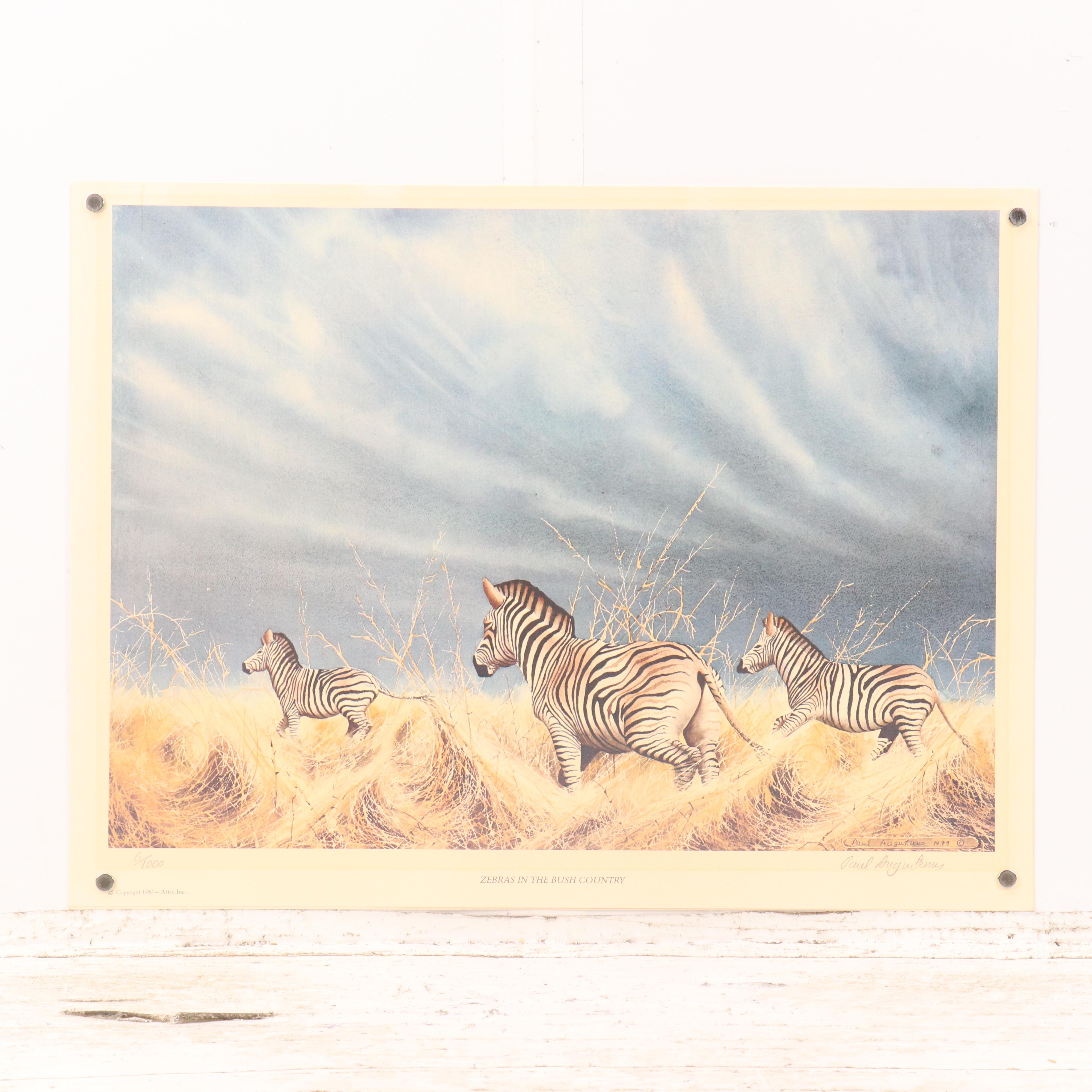 Paul Augustinus Offset Lithographs "Rhinos" and "Zebras in the Bush Country"