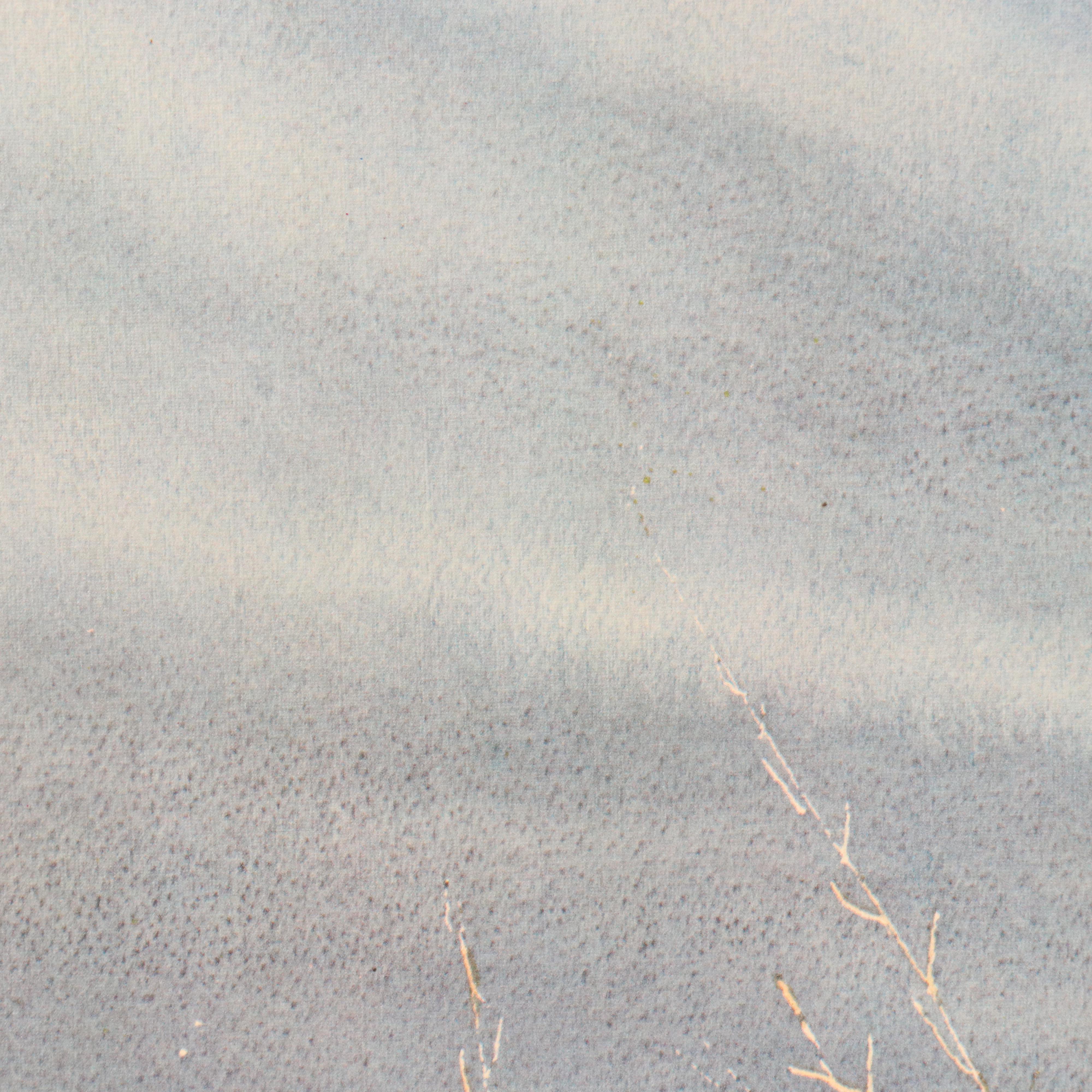 Paul Augustinus Offset Lithographs "Rhinos" and "Zebras in the Bush Country"