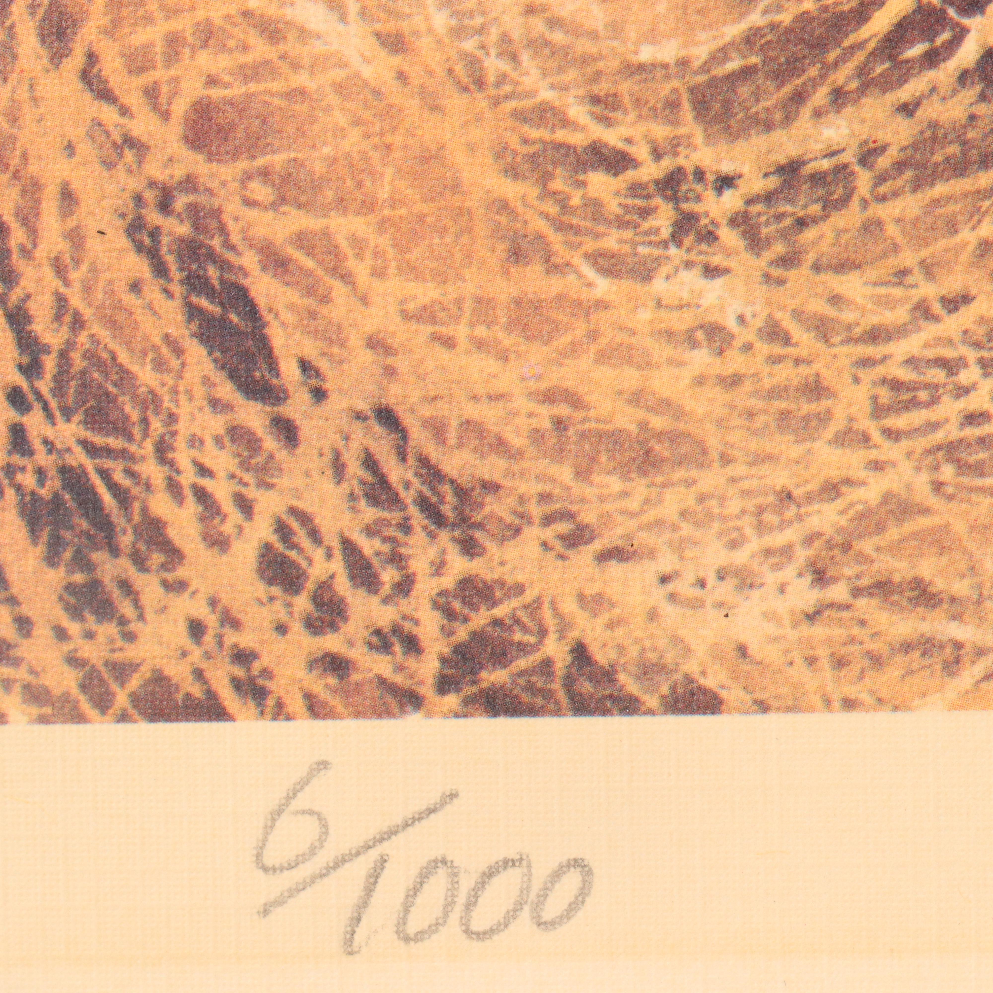 Paul Augustinus Offset Lithographs "Rhinos" and "Zebras in the Bush Country"