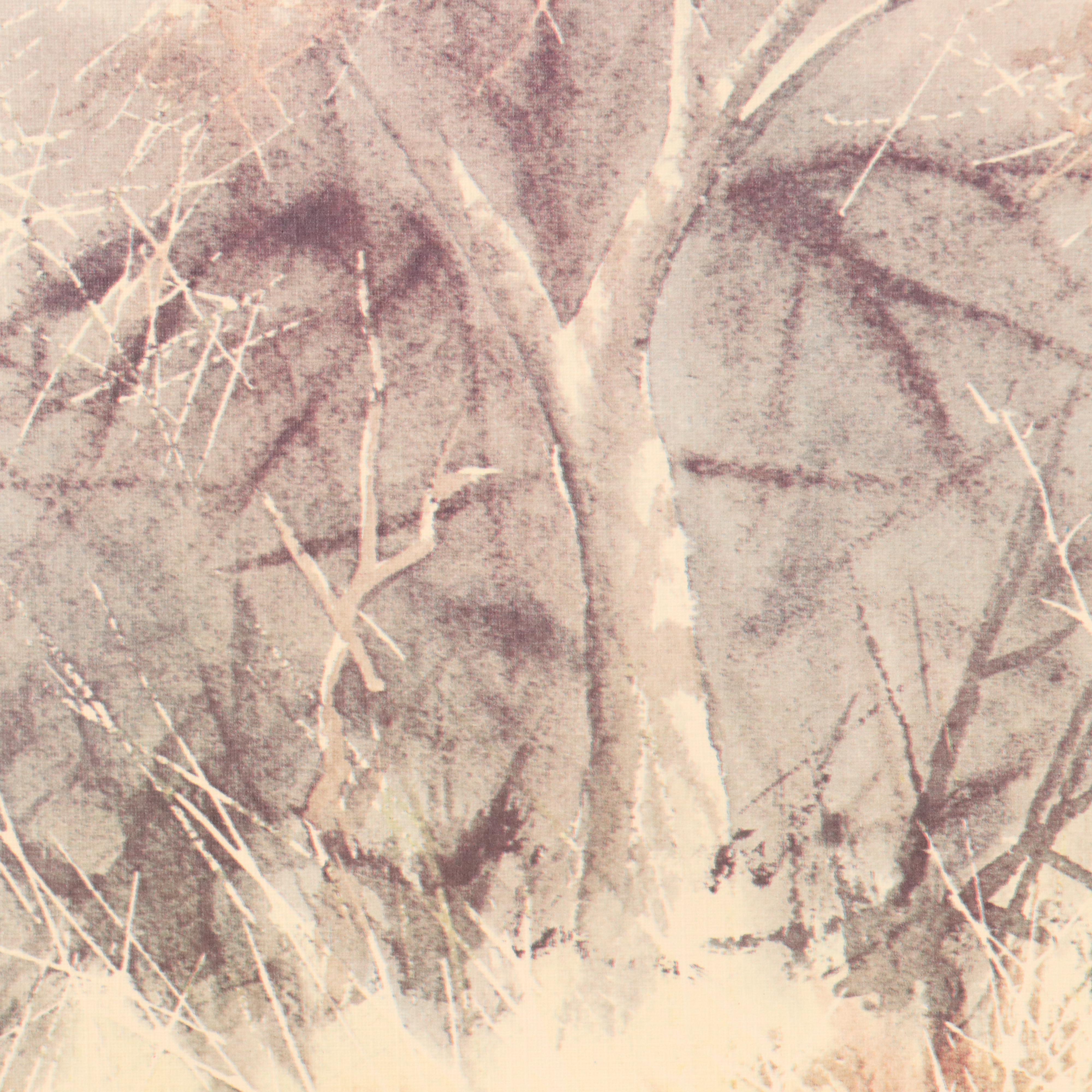 Paul Augustinus Offset Lithographs "Rhinos" and "Zebras in the Bush Country"