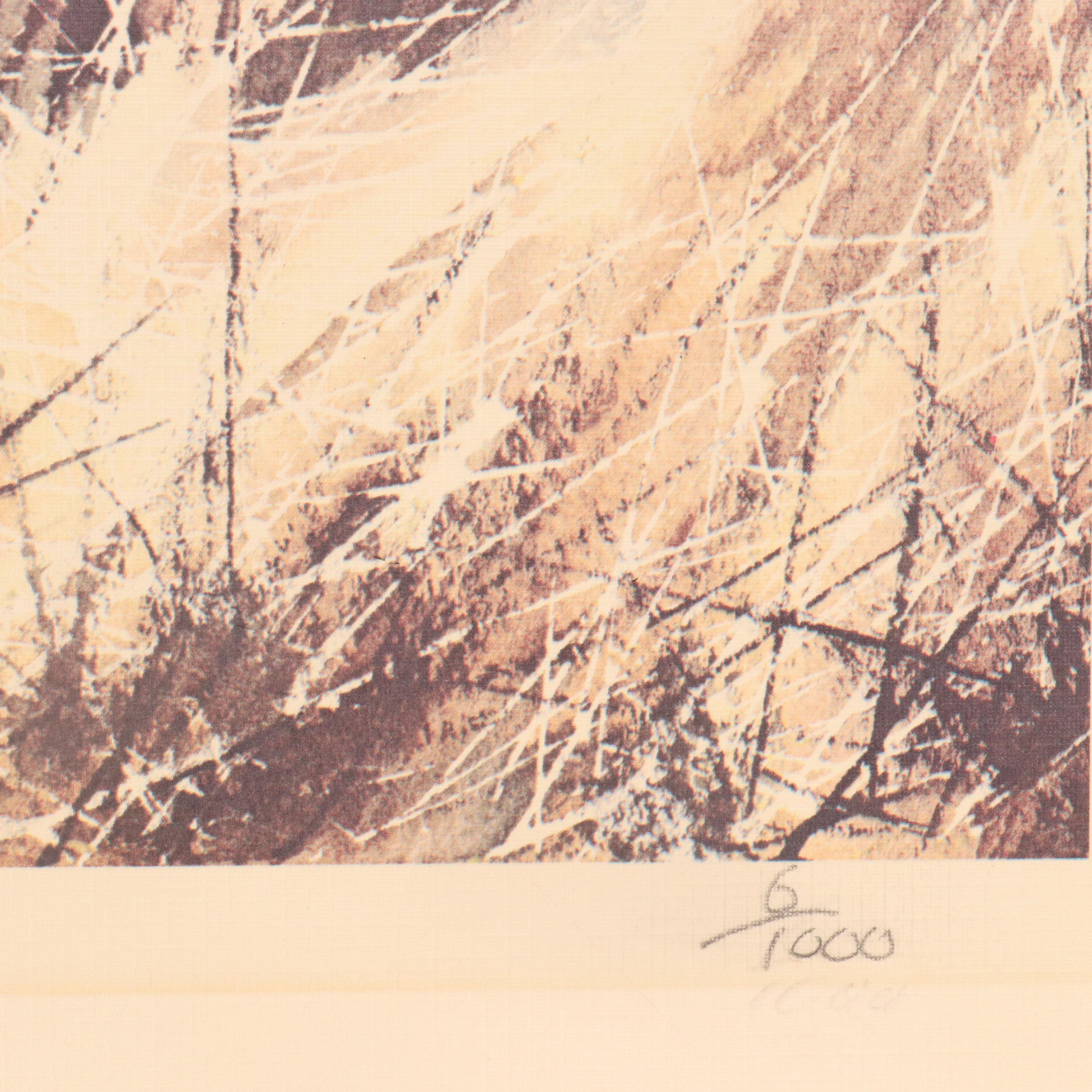 Paul Augustinus Offset Lithographs "Rhinos" and "Zebras in the Bush Country"