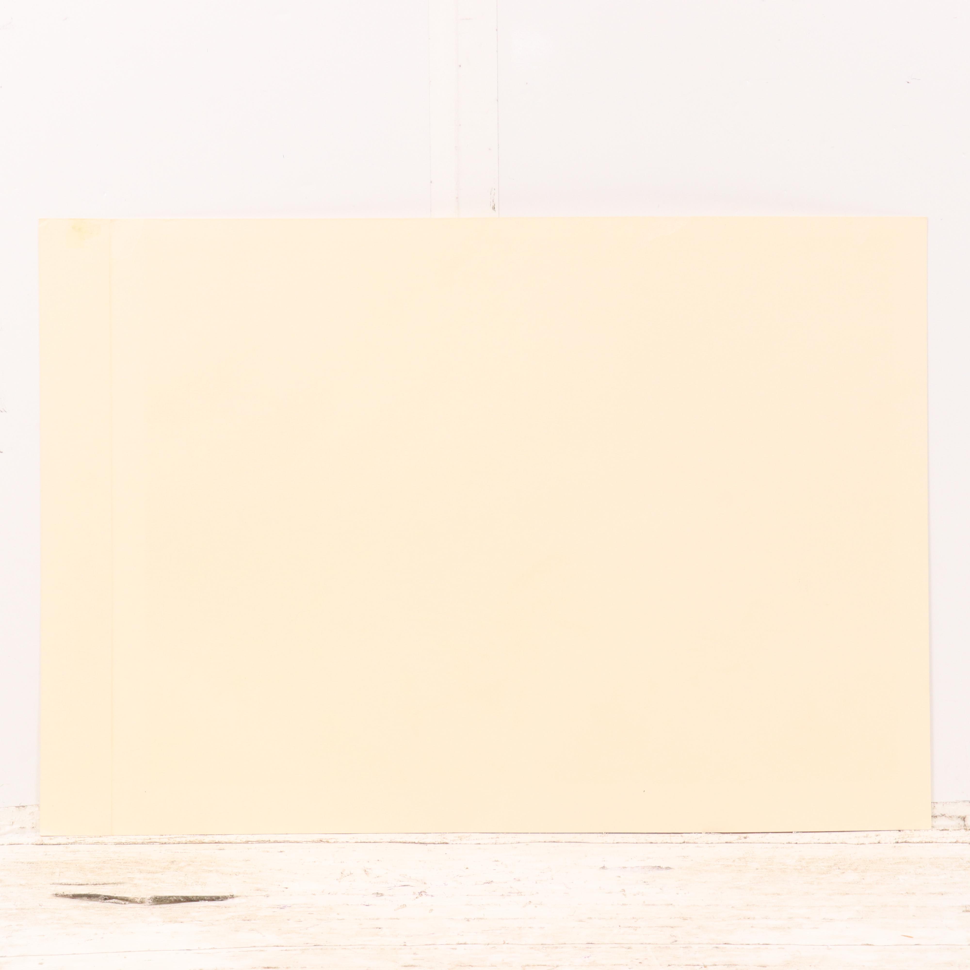 Paul Augustinus Offset Lithographs "Rhinos" and "Zebras in the Bush Country"