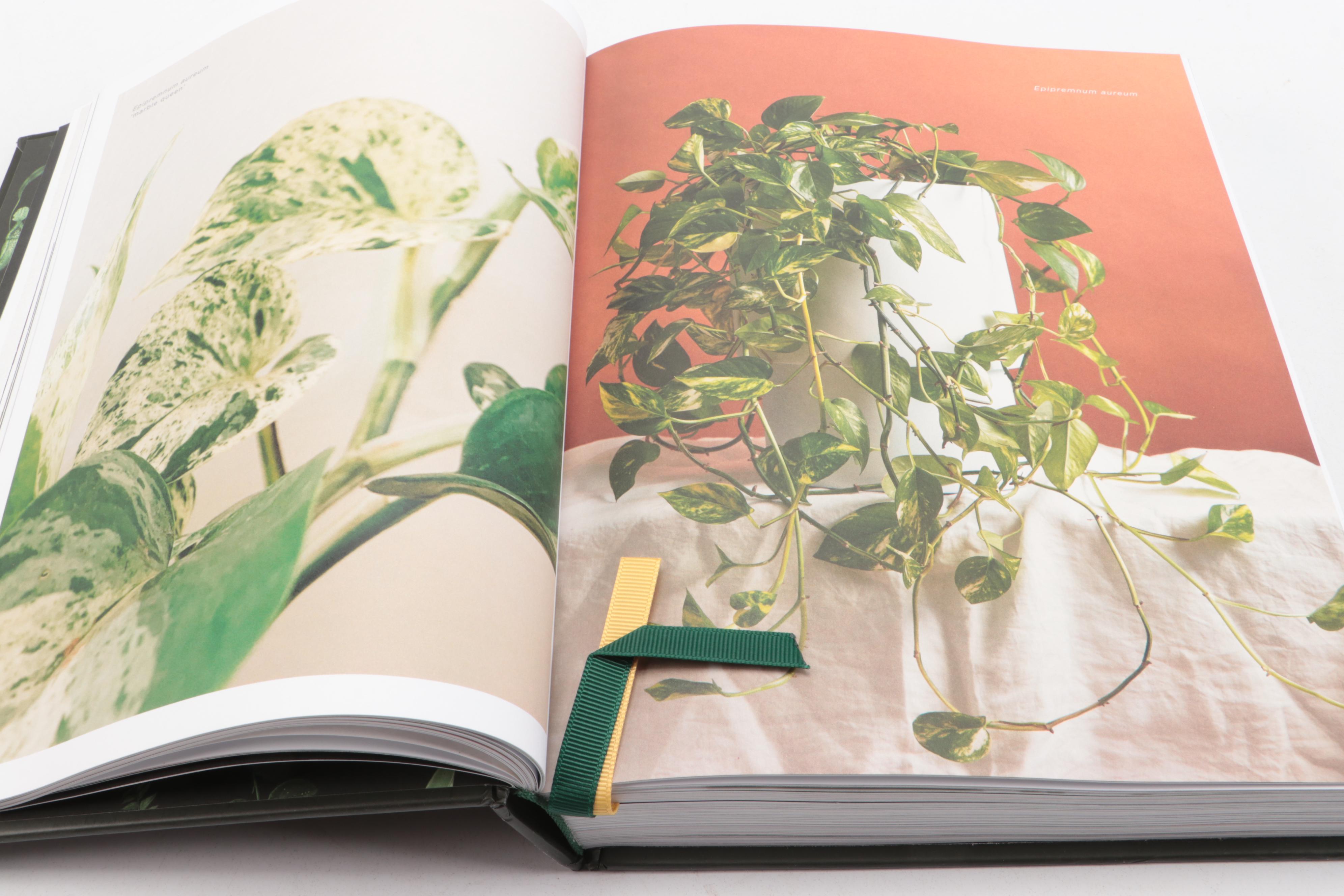 Illustrated "Plantopedia: The Definitive Guide to Houseplants," 2020
