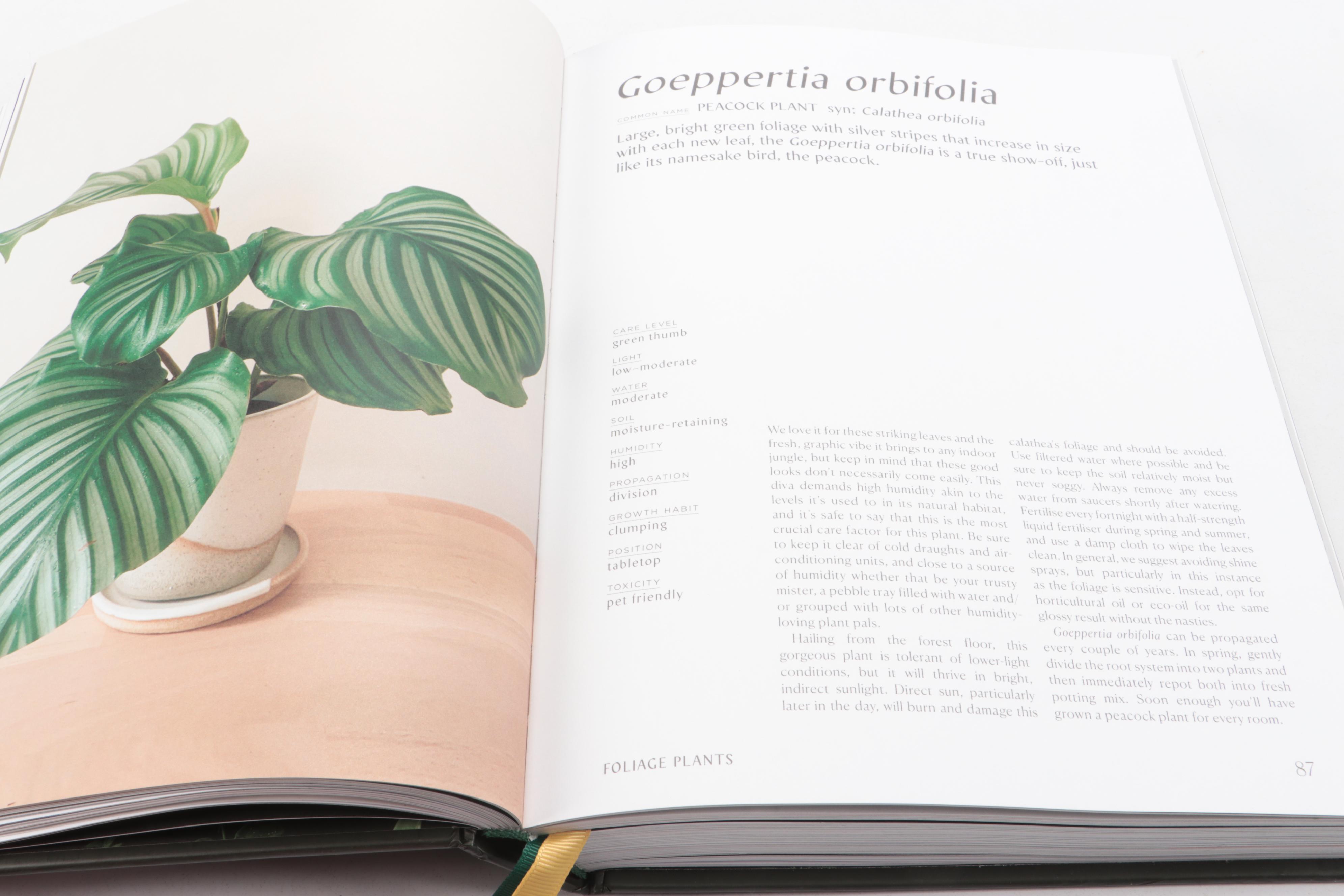 Illustrated "Plantopedia: The Definitive Guide to Houseplants," 2020