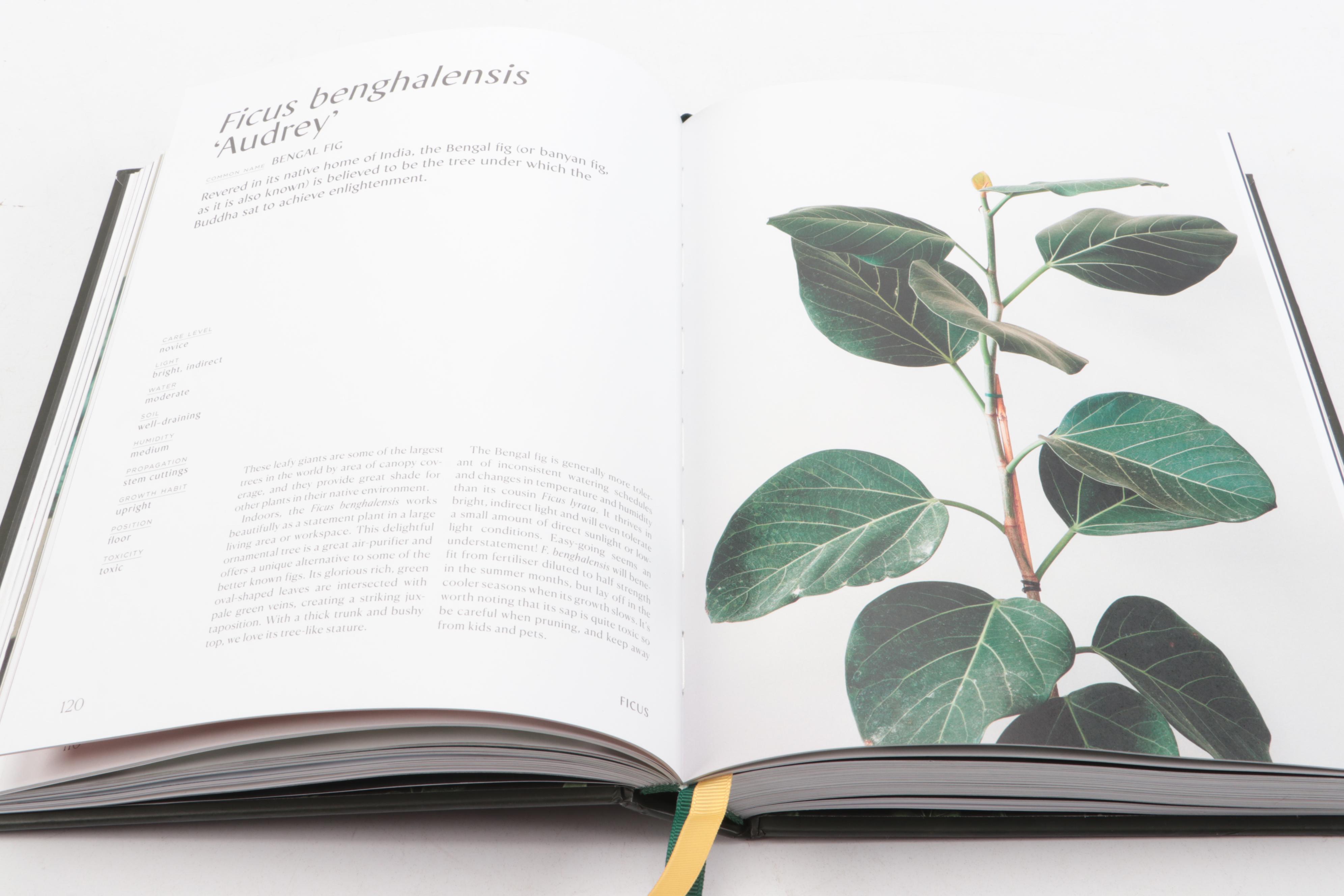 Illustrated "Plantopedia: The Definitive Guide to Houseplants," 2020