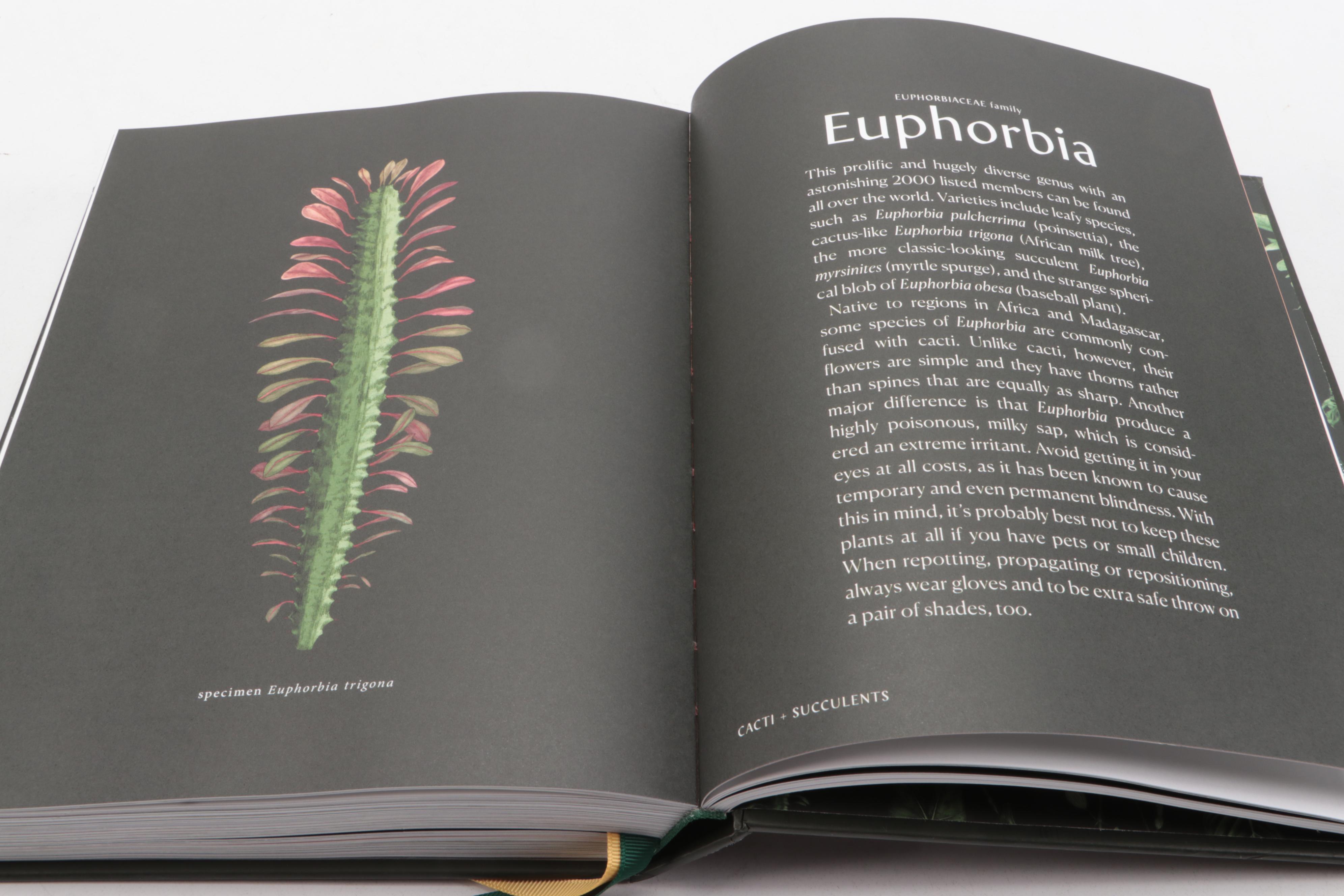 Illustrated "Plantopedia: The Definitive Guide to Houseplants," 2020