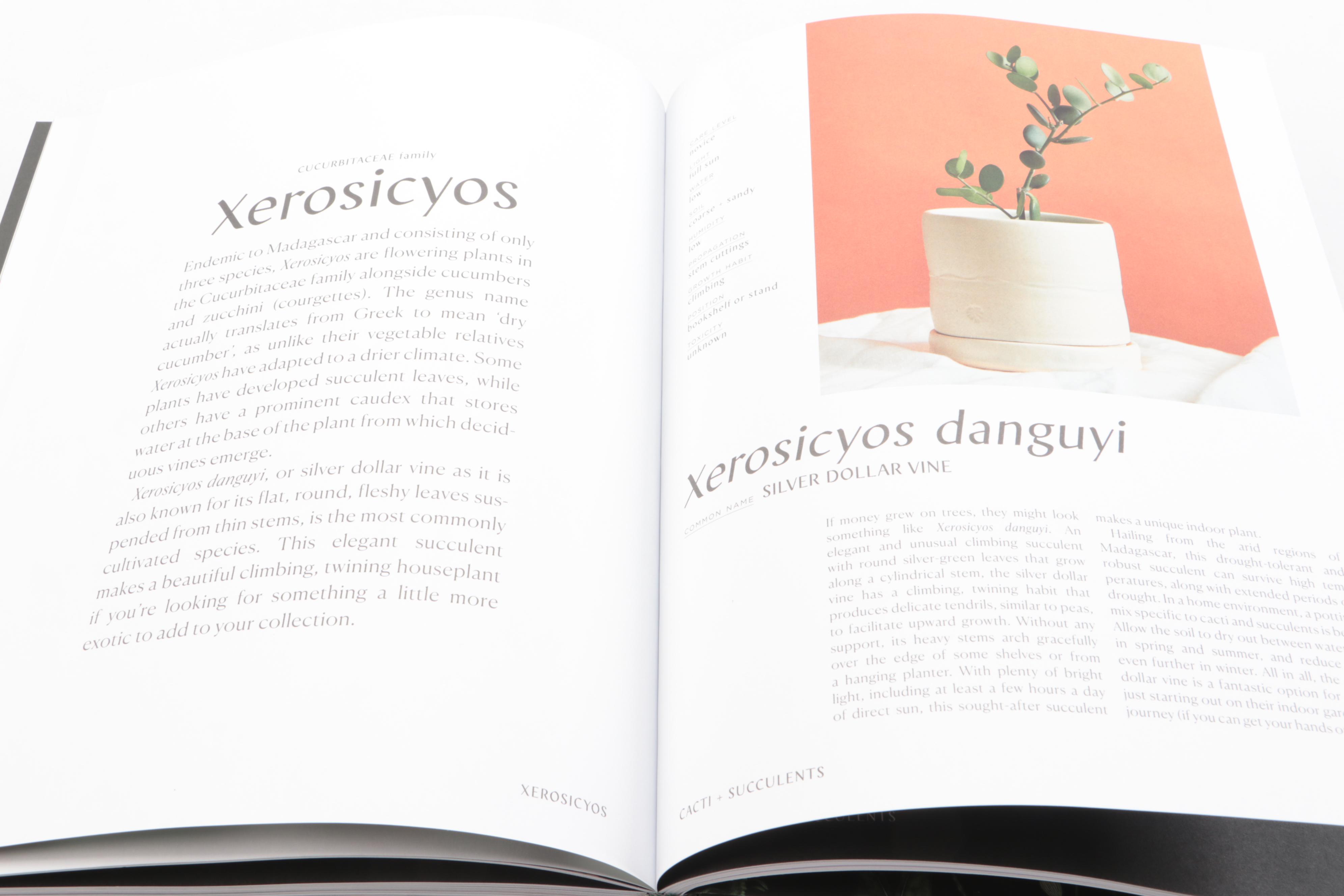 Illustrated "Plantopedia: The Definitive Guide to Houseplants," 2020