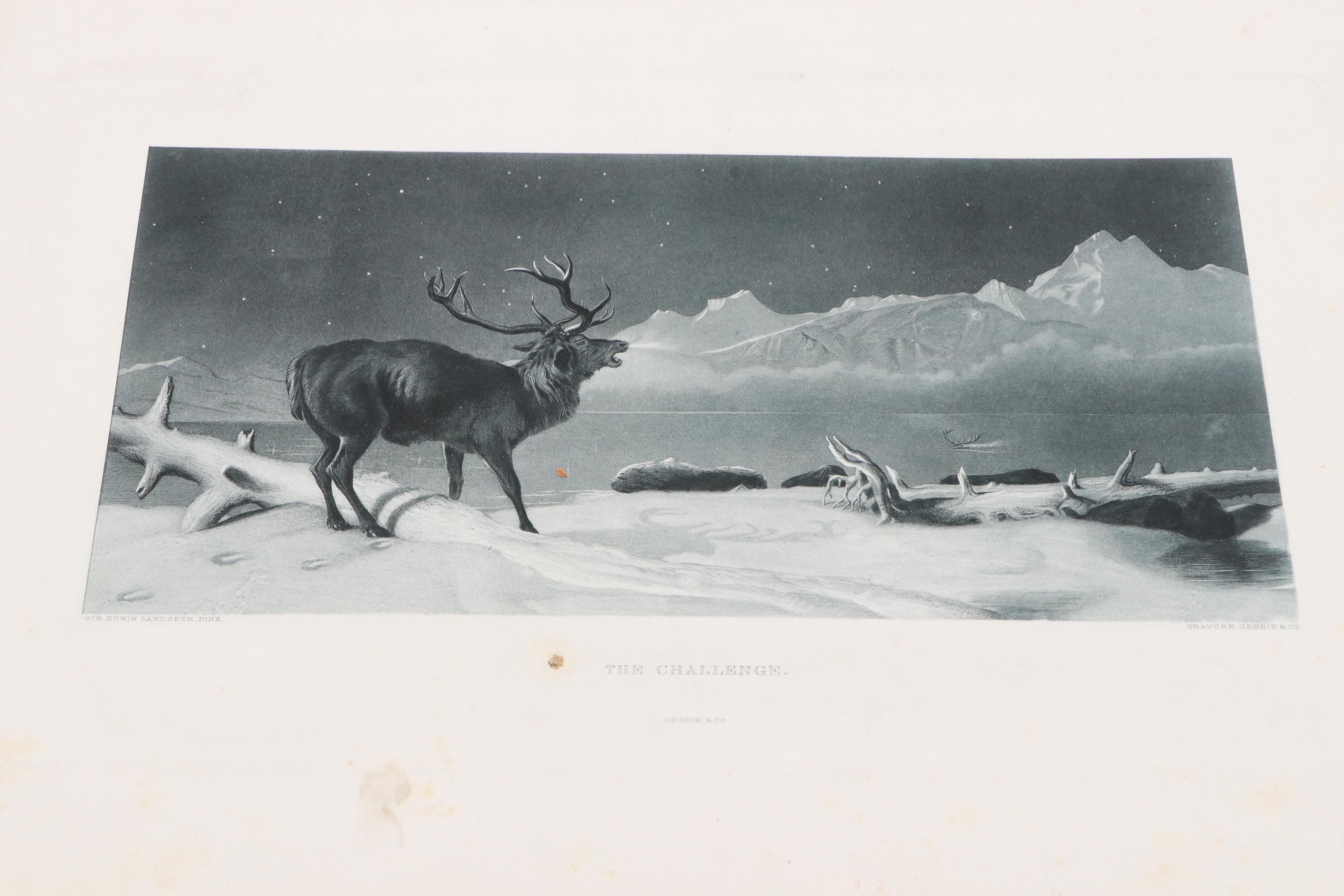 Lot of Photogravures After Various Artists, Late 19th or 20th Century