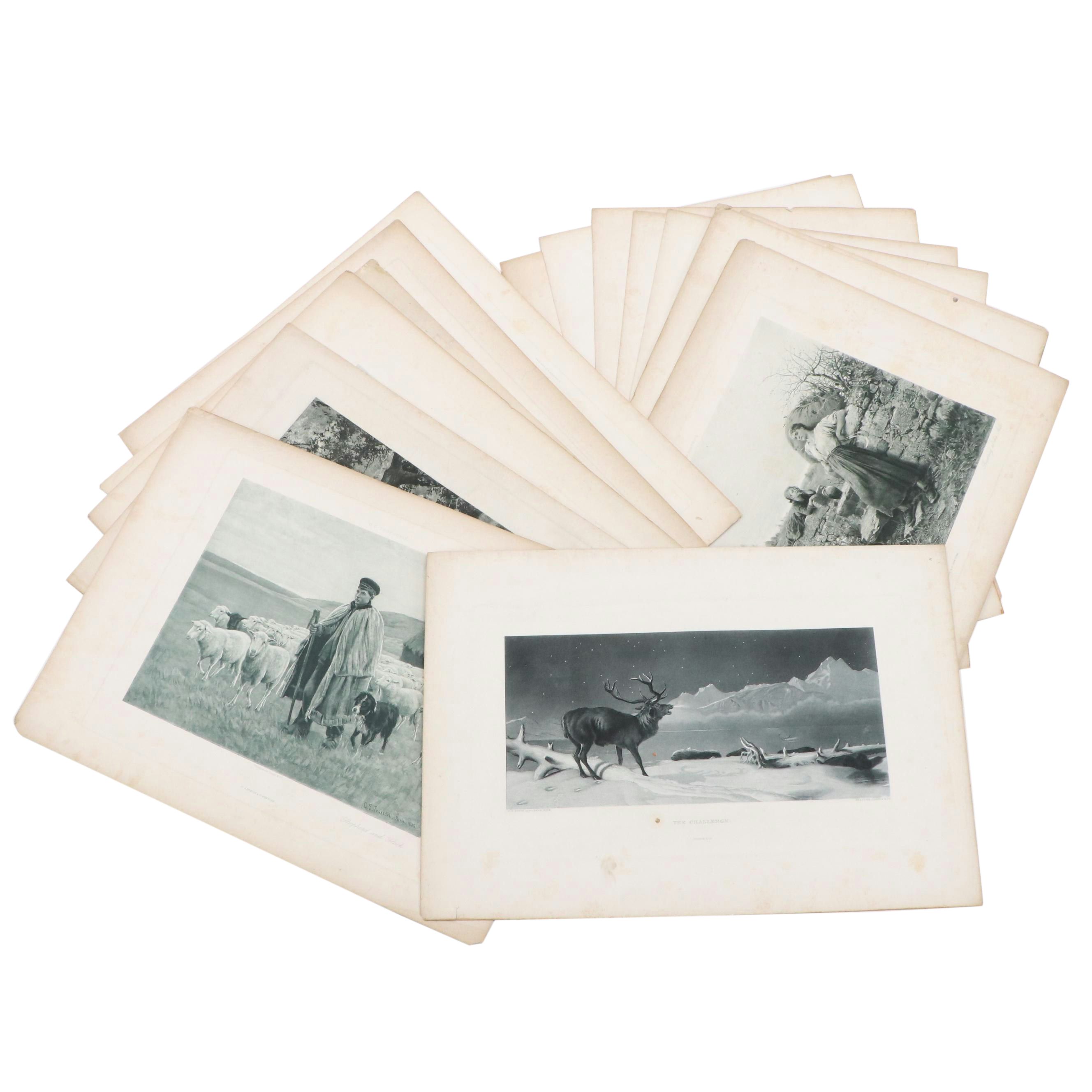 Lot of Photogravures After Various Artists, Late 19th or 20th Century