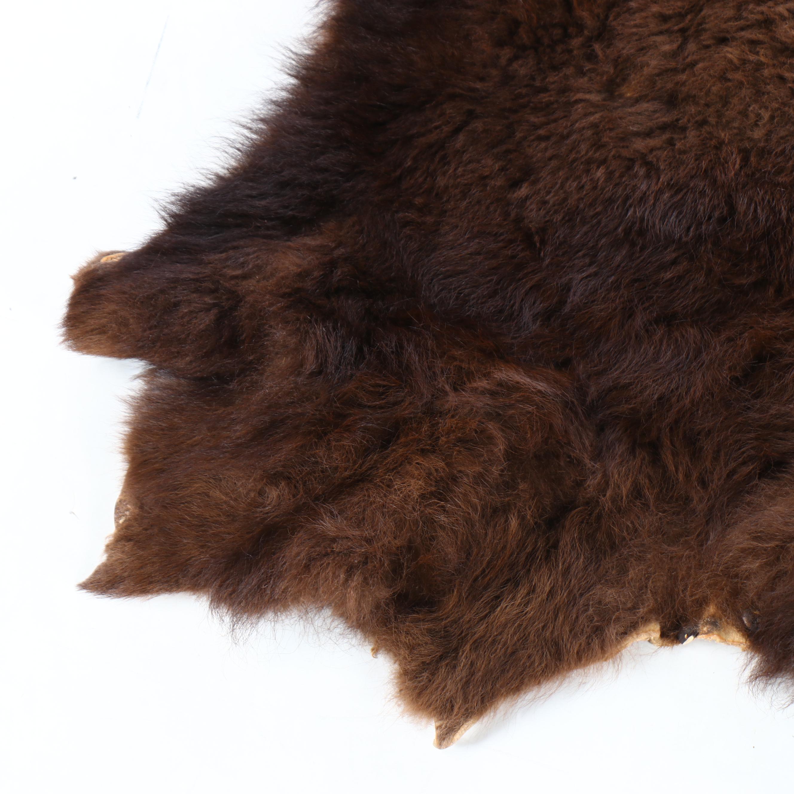 Tanned Hide Bison Pelt
