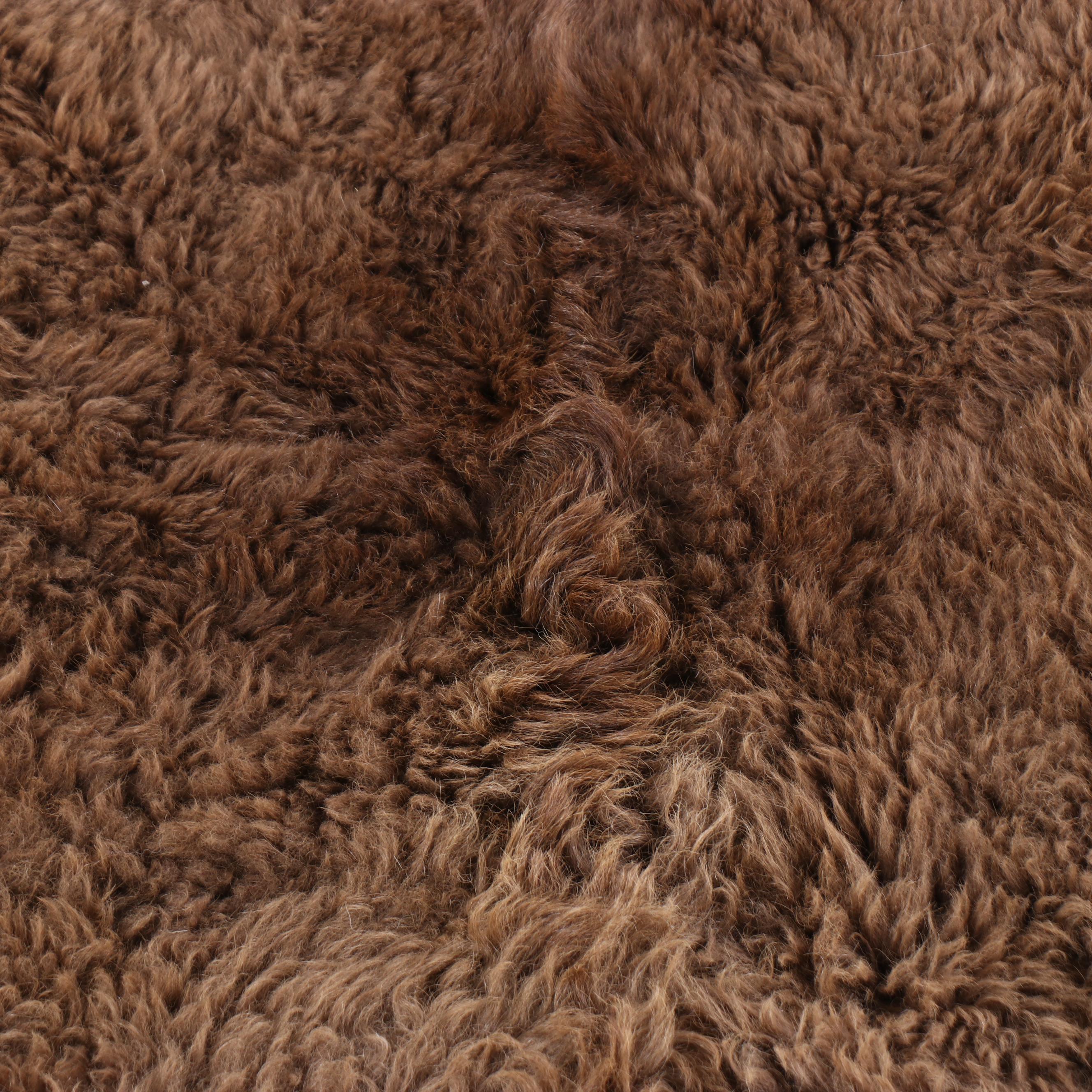 Tanned Hide Bison Pelt
