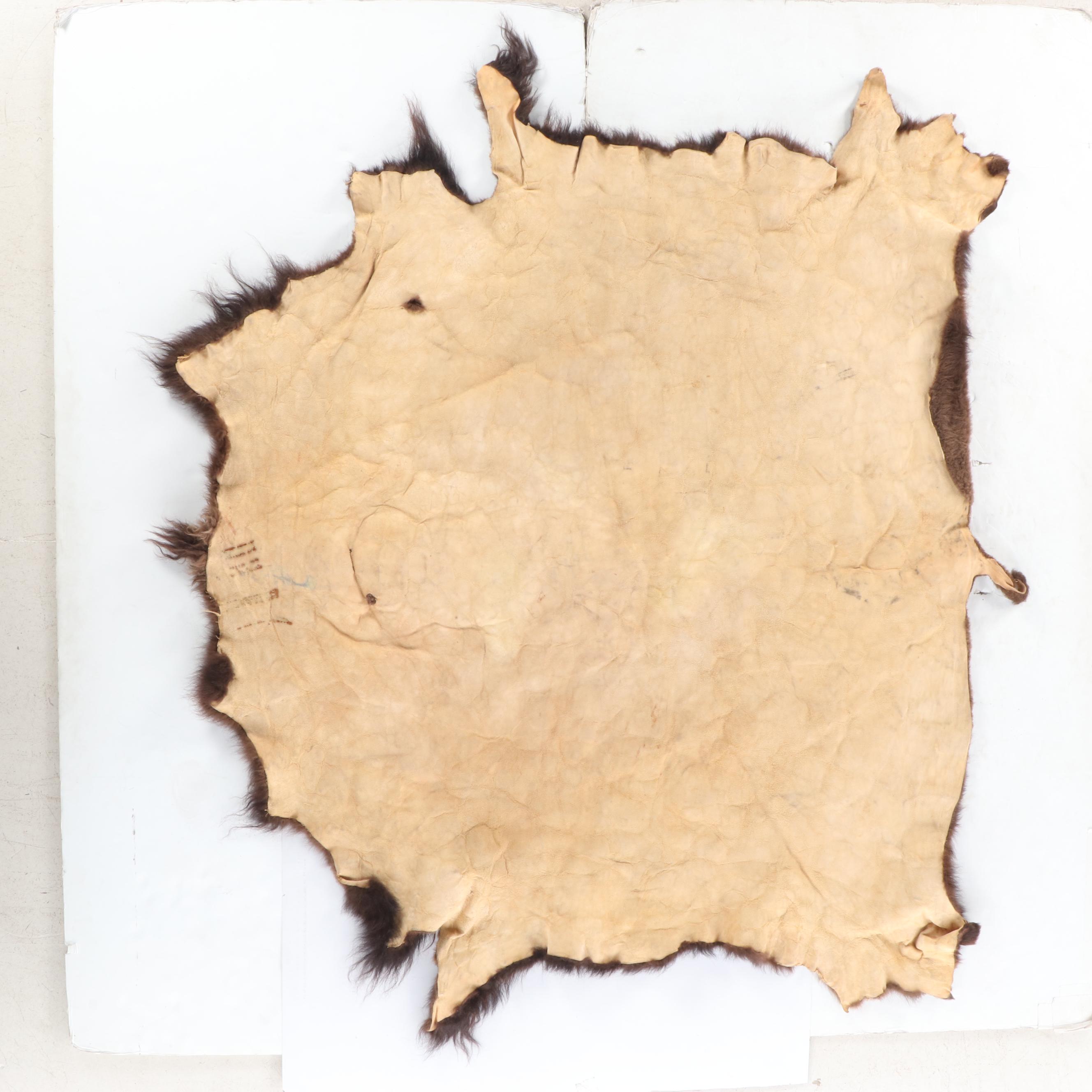 Tanned Hide Bison Pelt