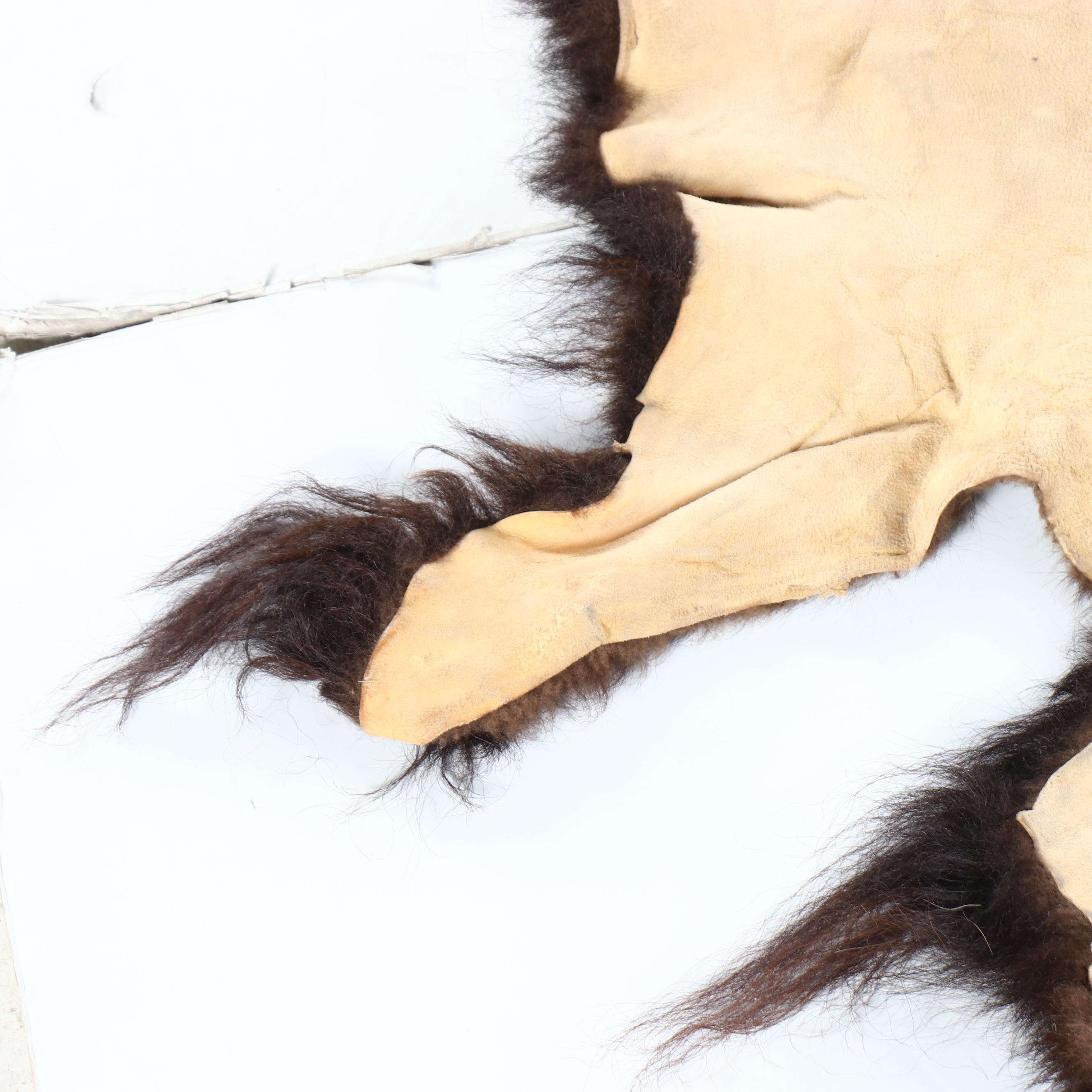 Tanned Hide Bison Pelt