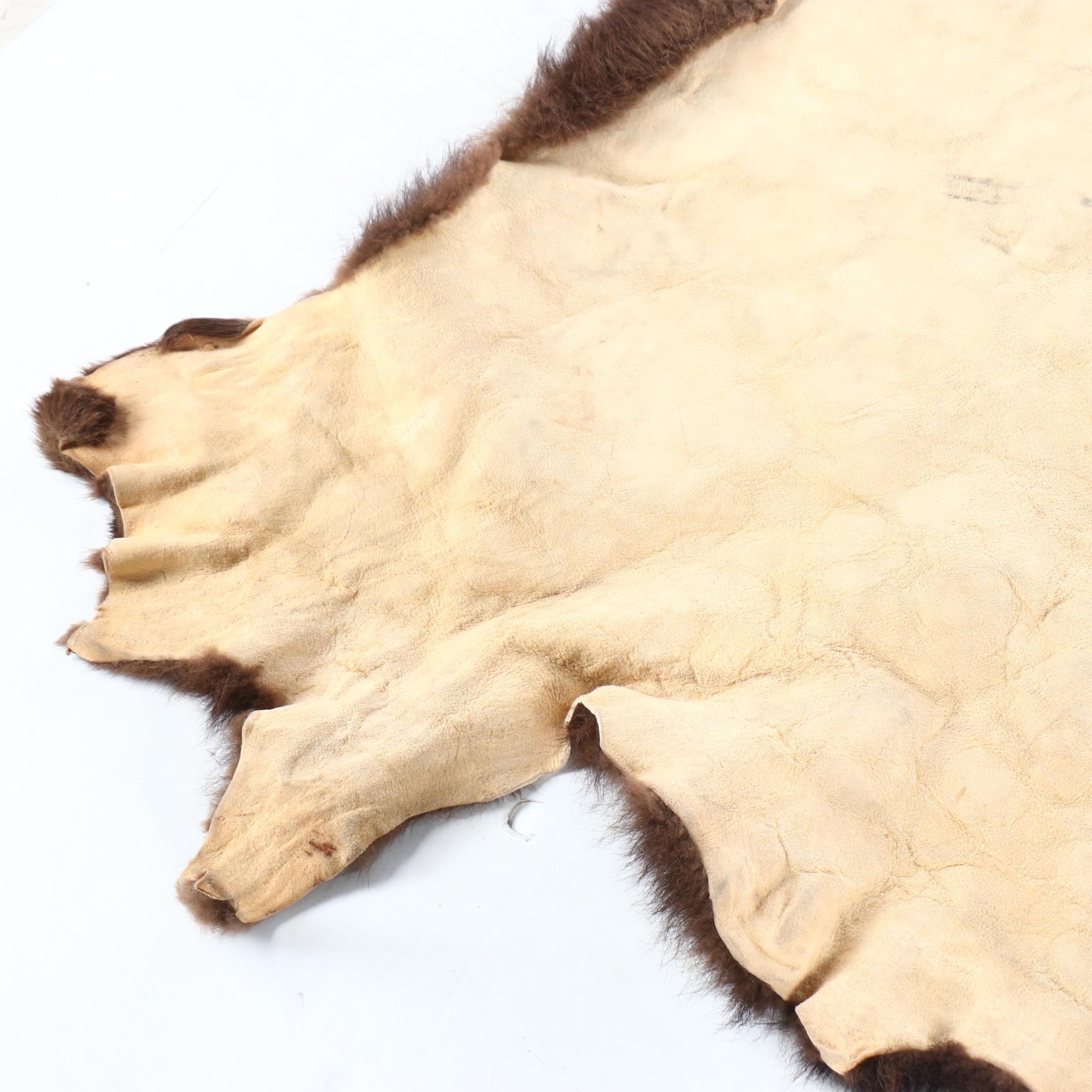 Tanned Hide Bison Pelt