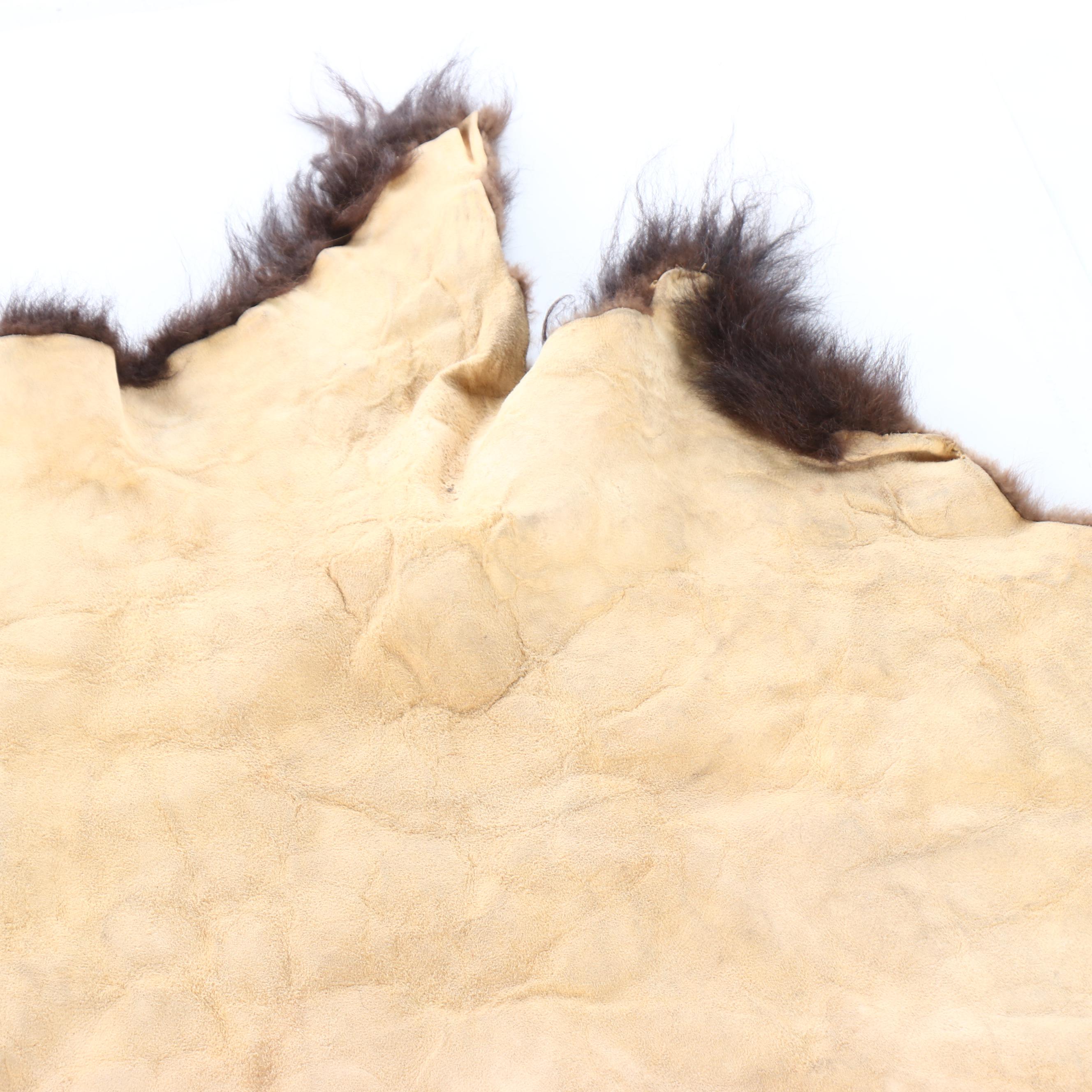 Tanned Hide Bison Pelt
