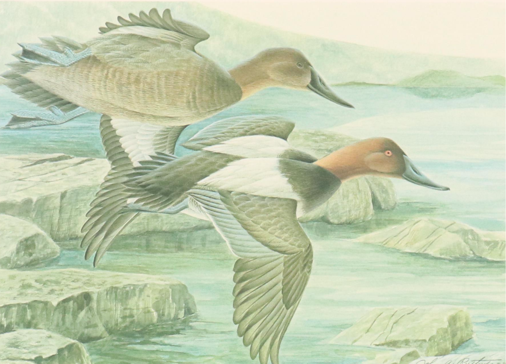 John Ruthven Offset Lithograph with Stamp "Ducks Unlimited," 1984