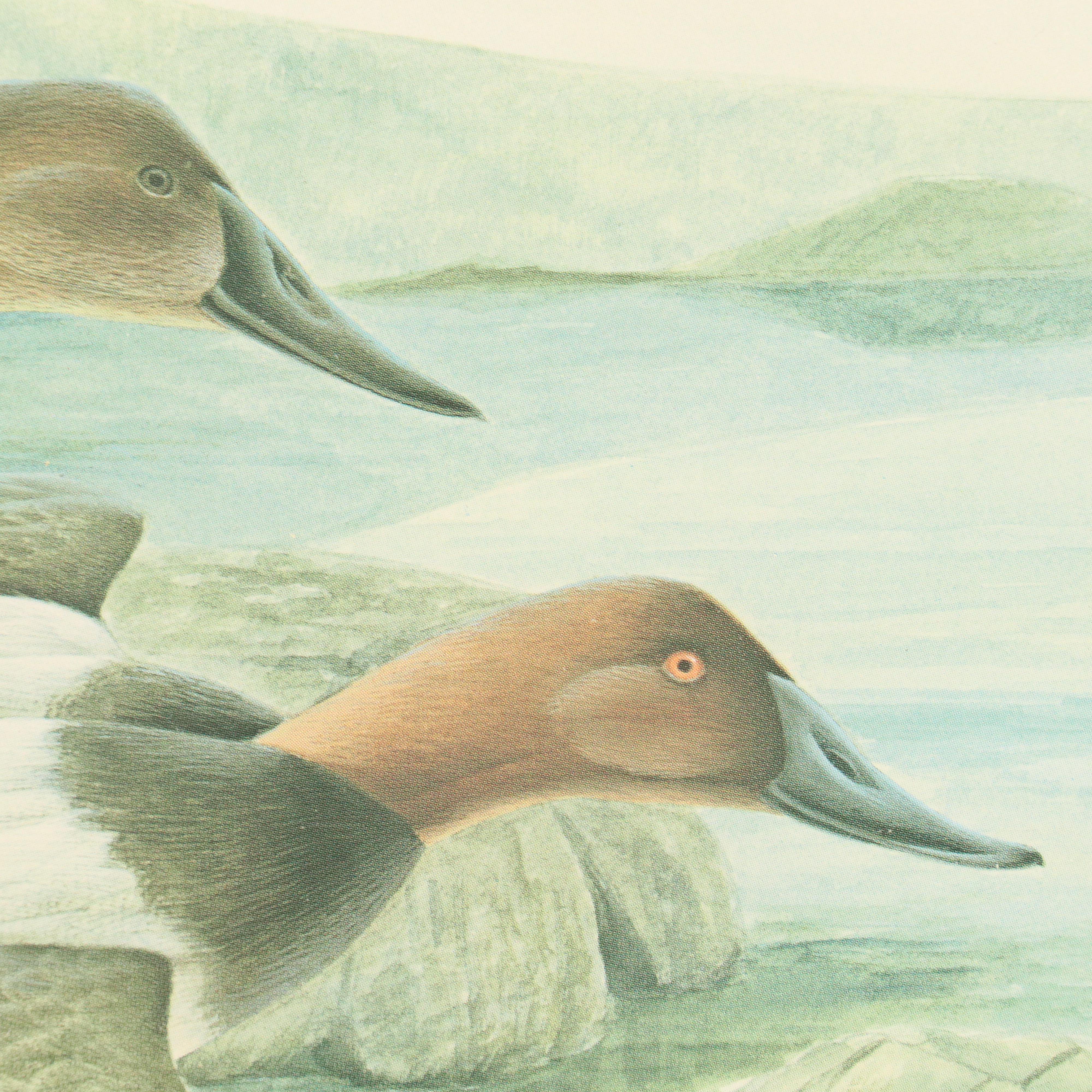 John Ruthven Offset Lithograph with Stamp "Ducks Unlimited," 1984