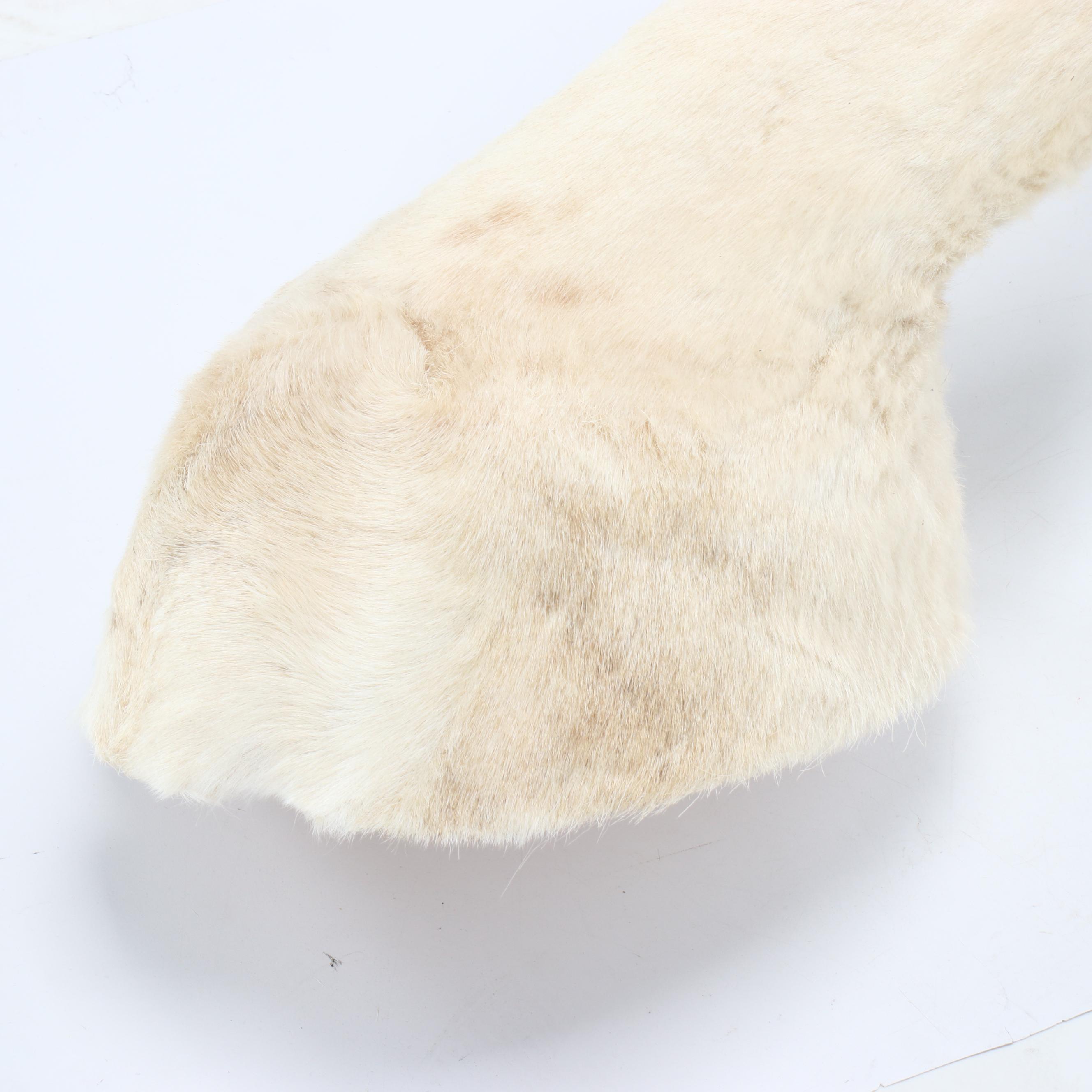 Taxidermy European Fallow Deer White Stag Shoulder Mount