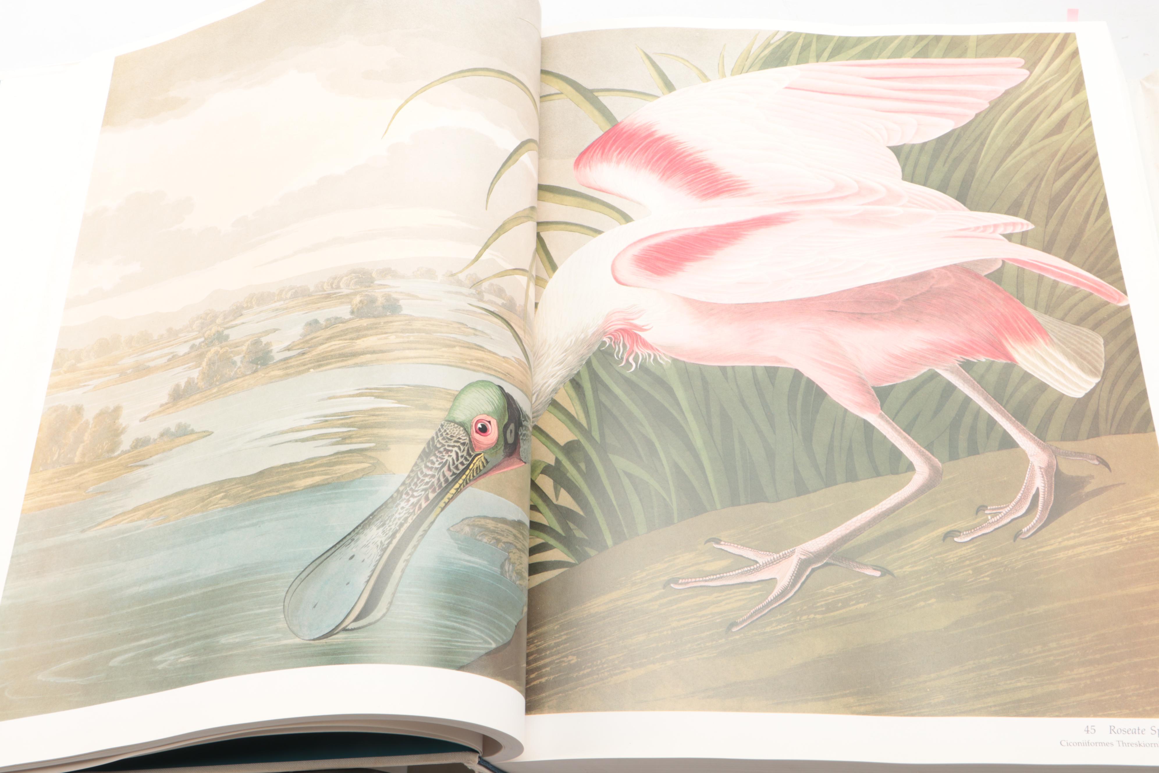 Baby Elephant Folio "Audubon's Birds of America" by the Petersons, 1990