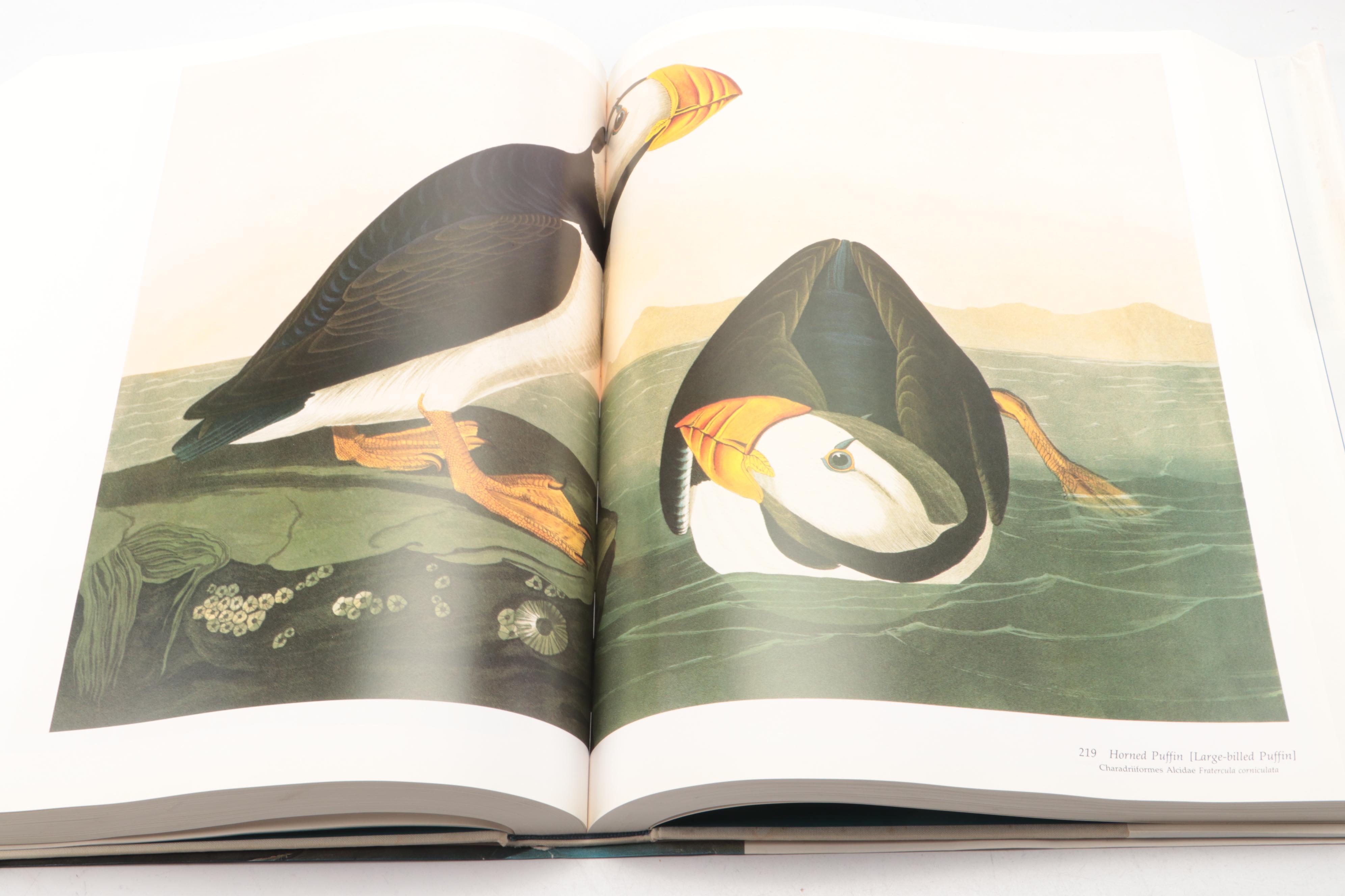 Baby Elephant Folio "Audubon's Birds of America" by the Petersons, 1990