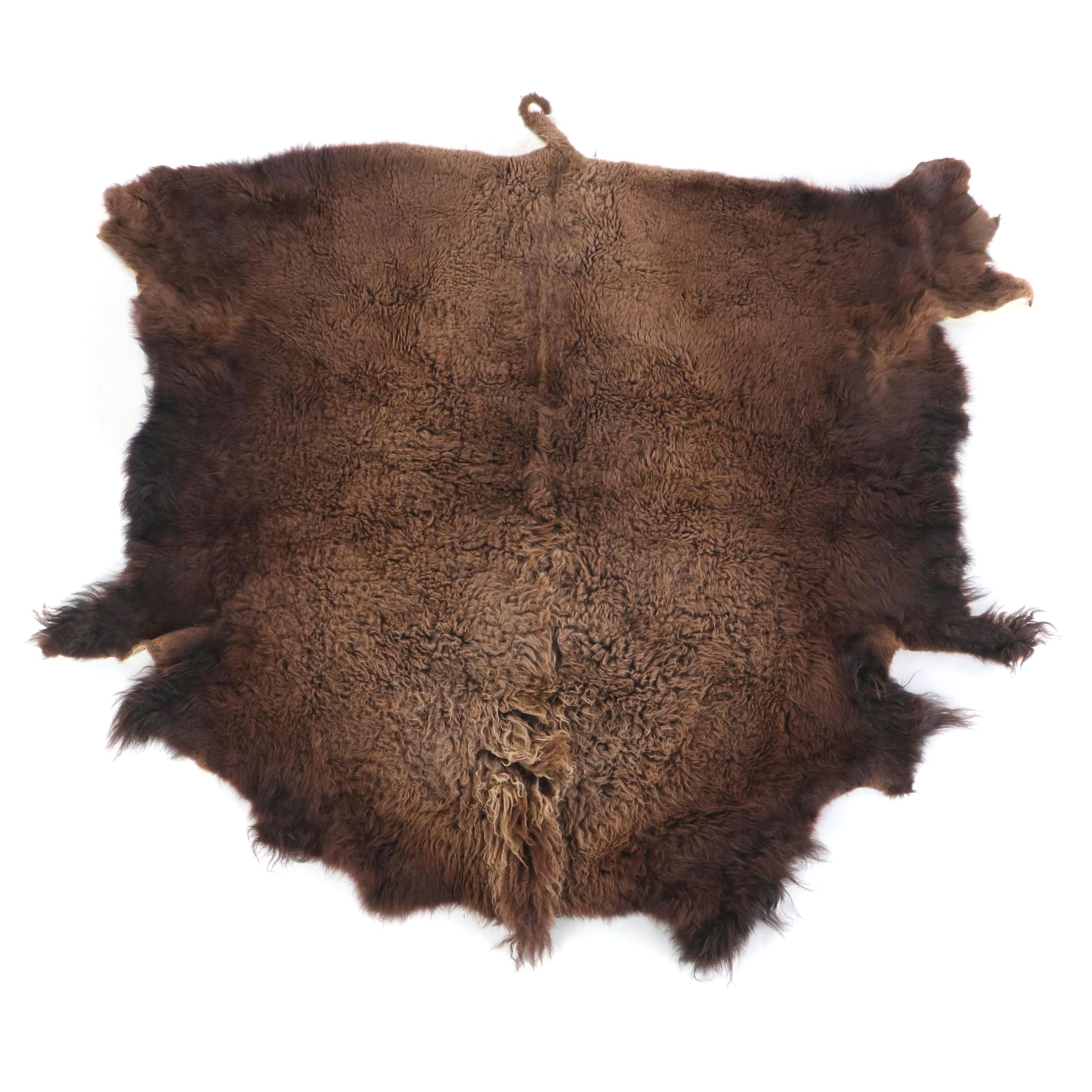 Tanned Hide Bison Pelt