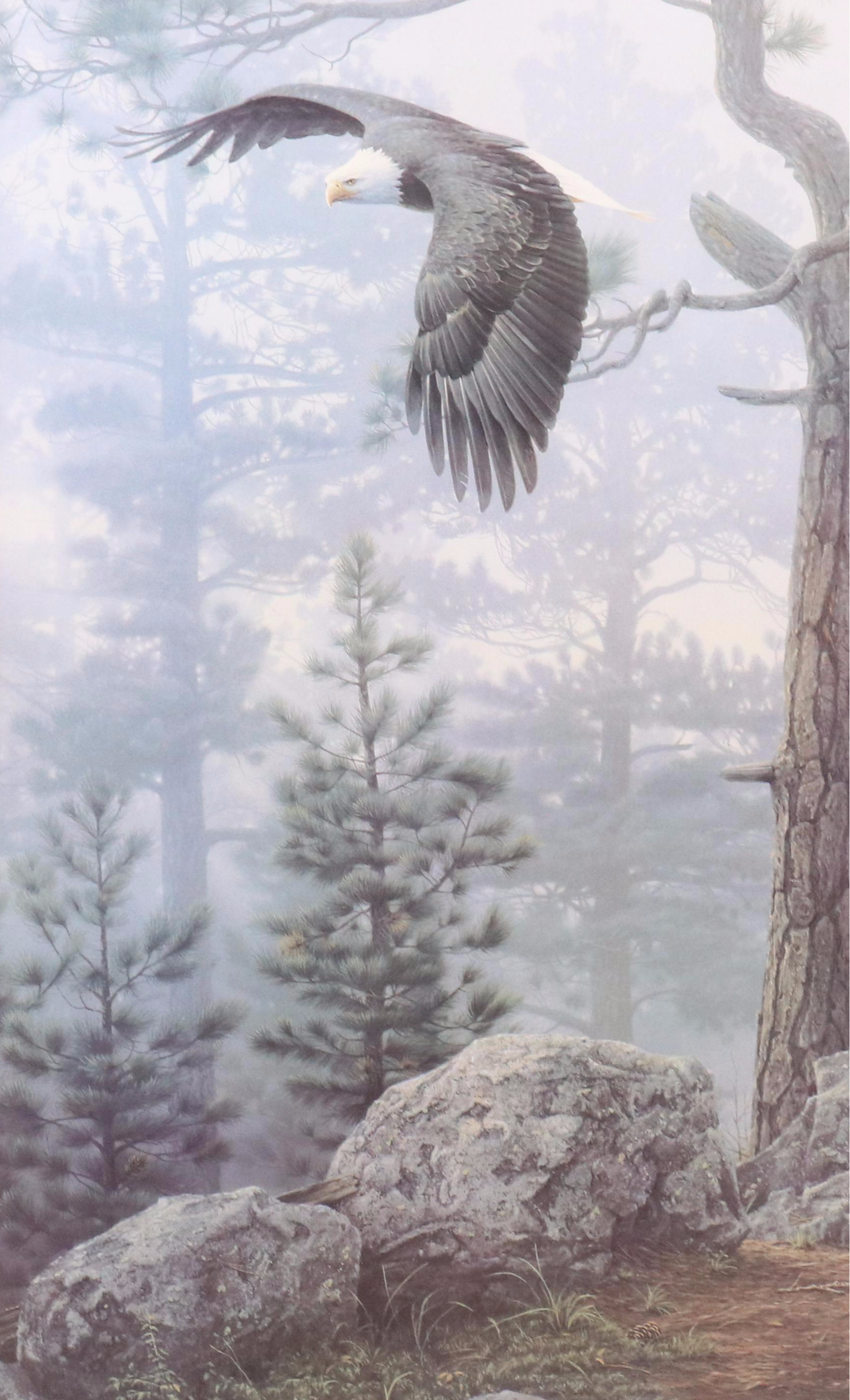 After Daniel Smith Offset Lithograph "Shrouded Forest - Bald Eagle"