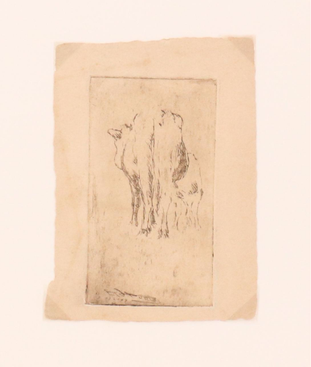 Etching After Edward Timothy Hurley of Grazing Cows, Circa 1907