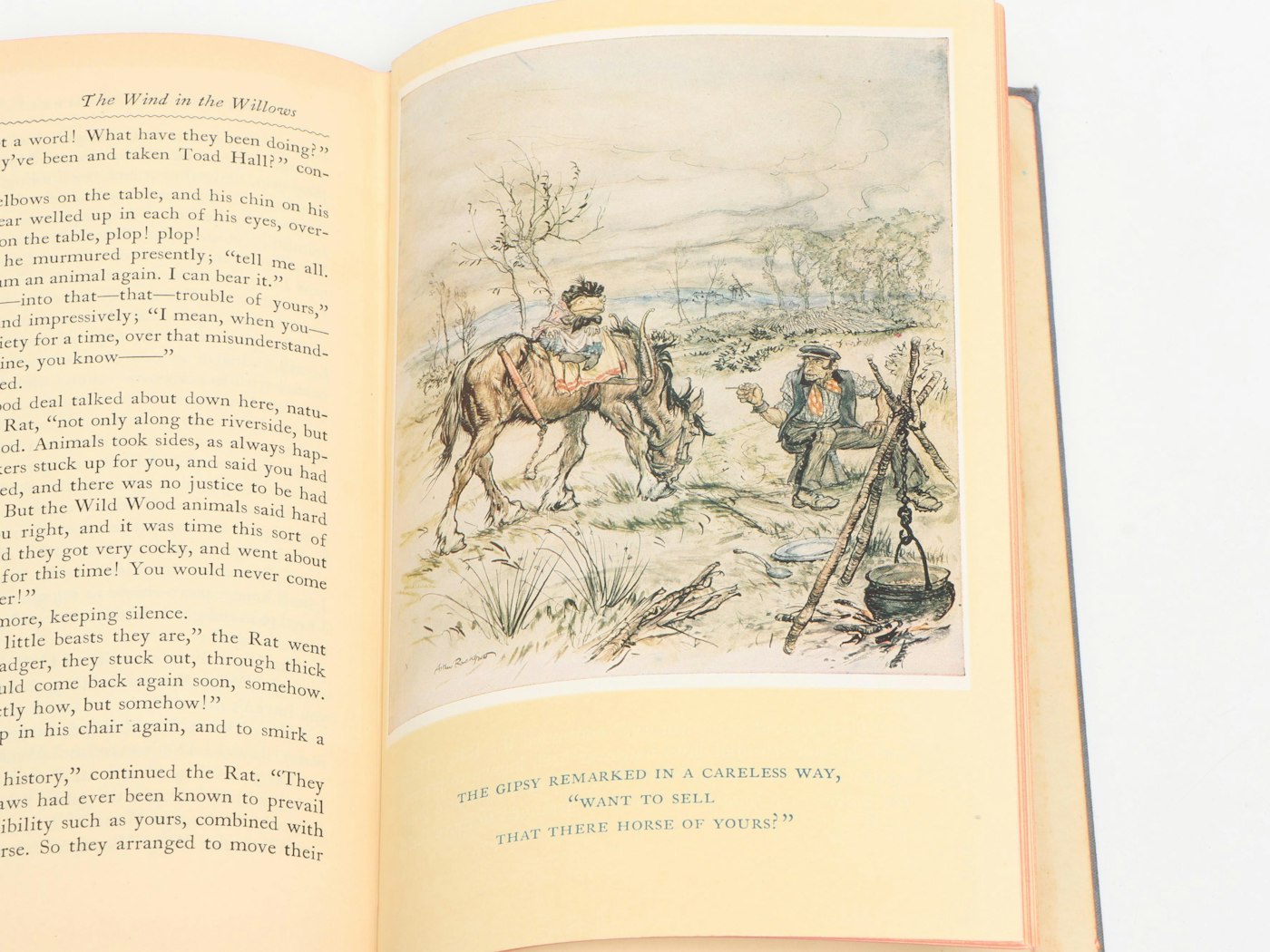 Arthur Rackham Illustrated