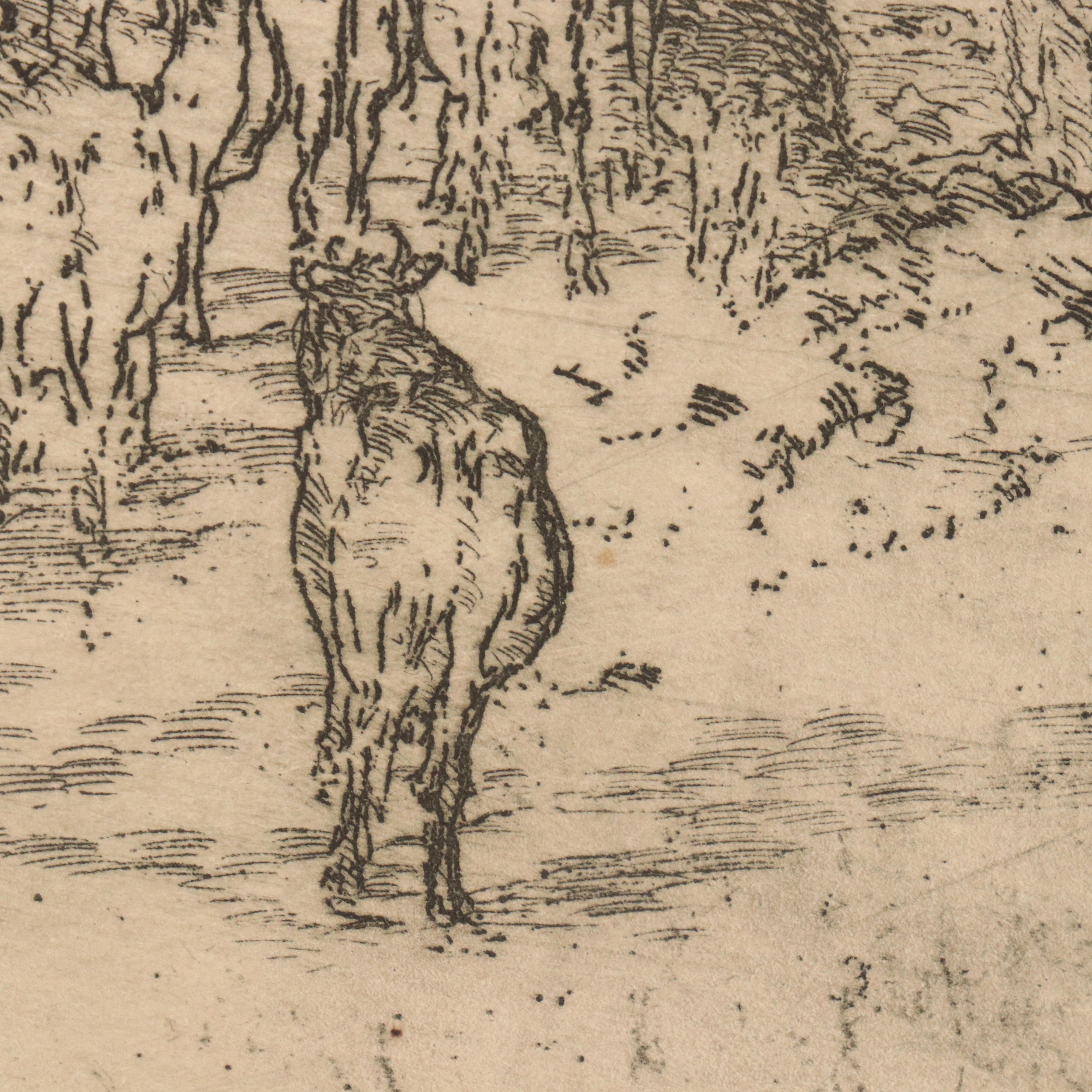 Etching By Edward Timothy Hurley of Cattle Roaming, Circa 1917