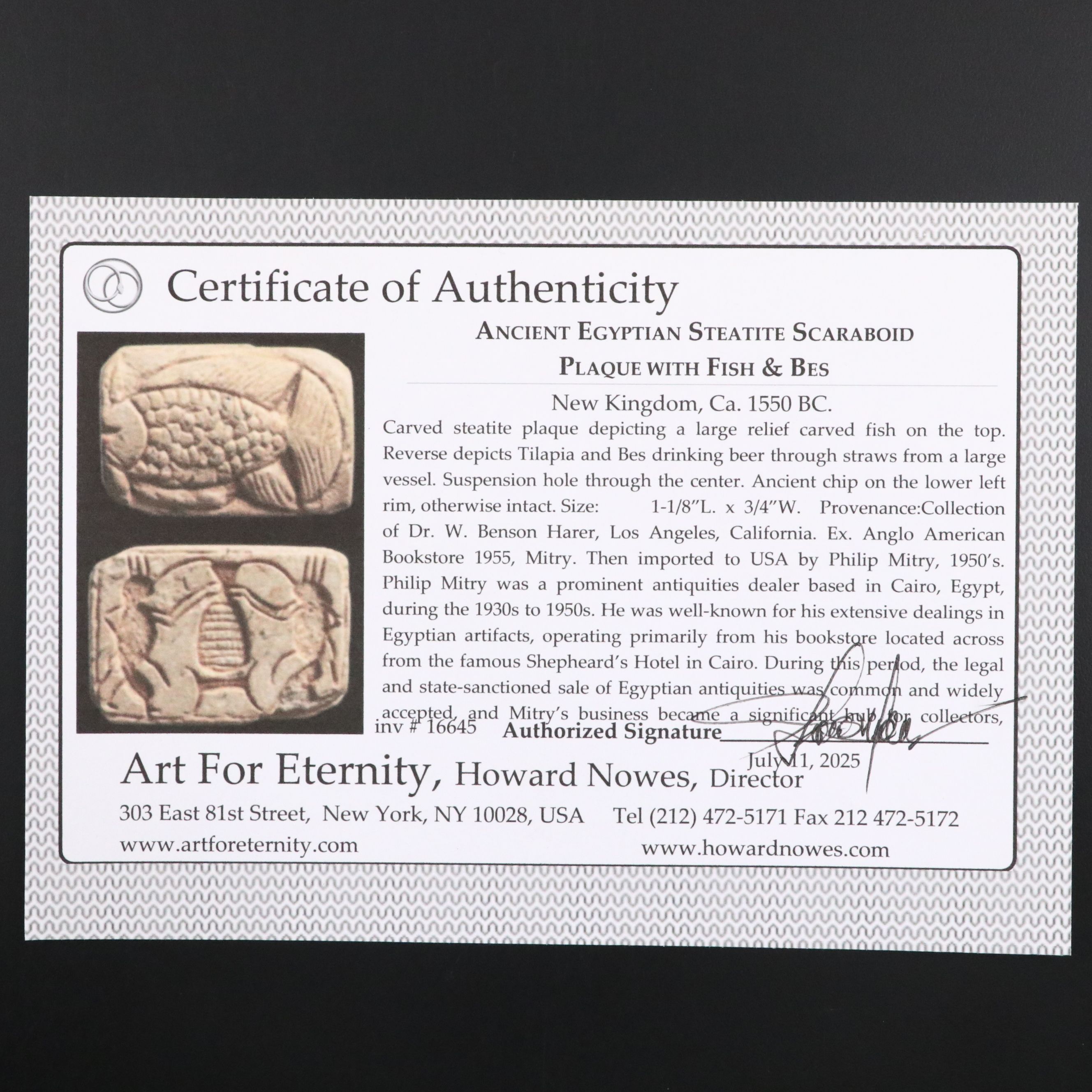 Ancient Egyptian Steatite Scaraboid Fish and Bes Plaque