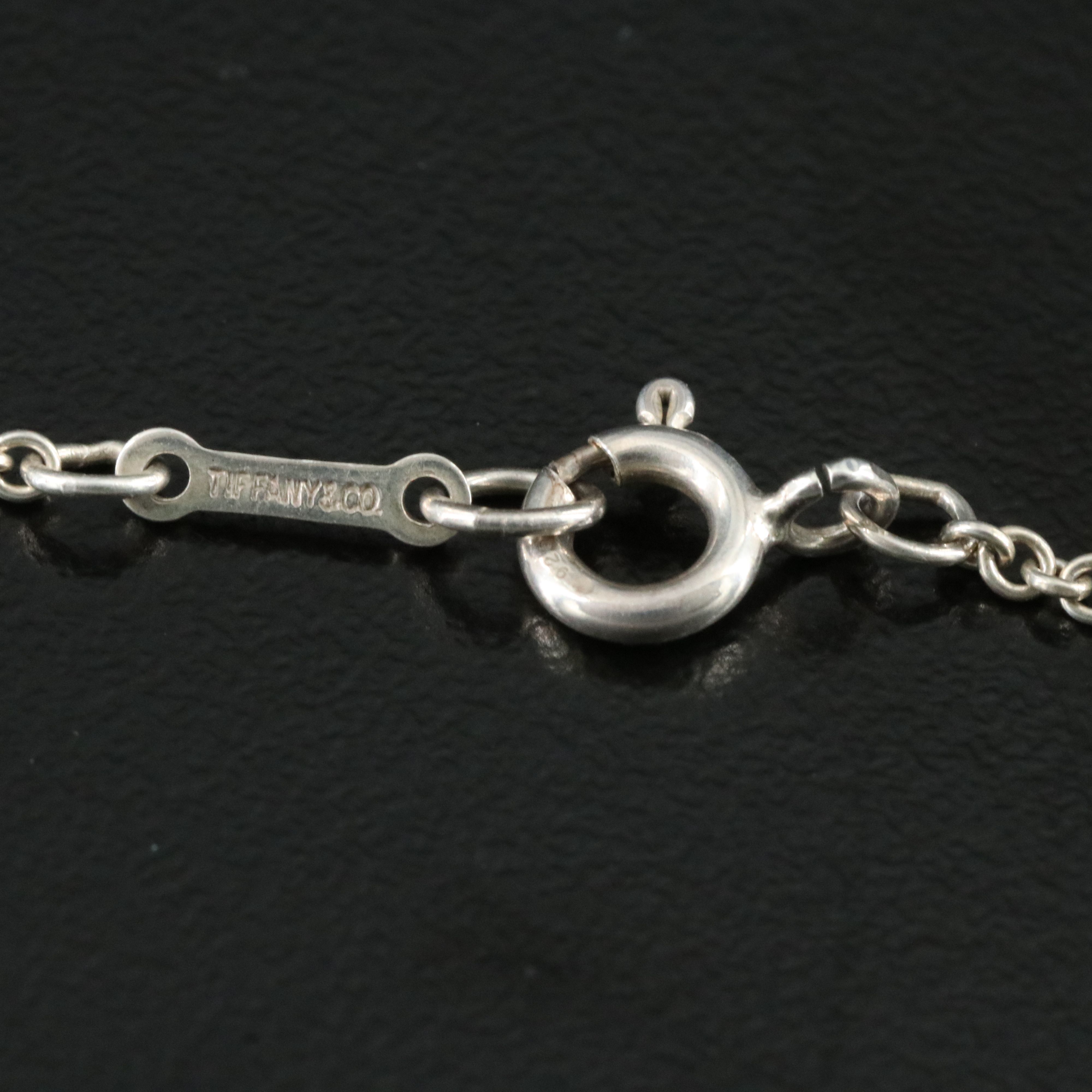 Elsa Peretti for Tiffany & Co. Sterling Apple Necklace