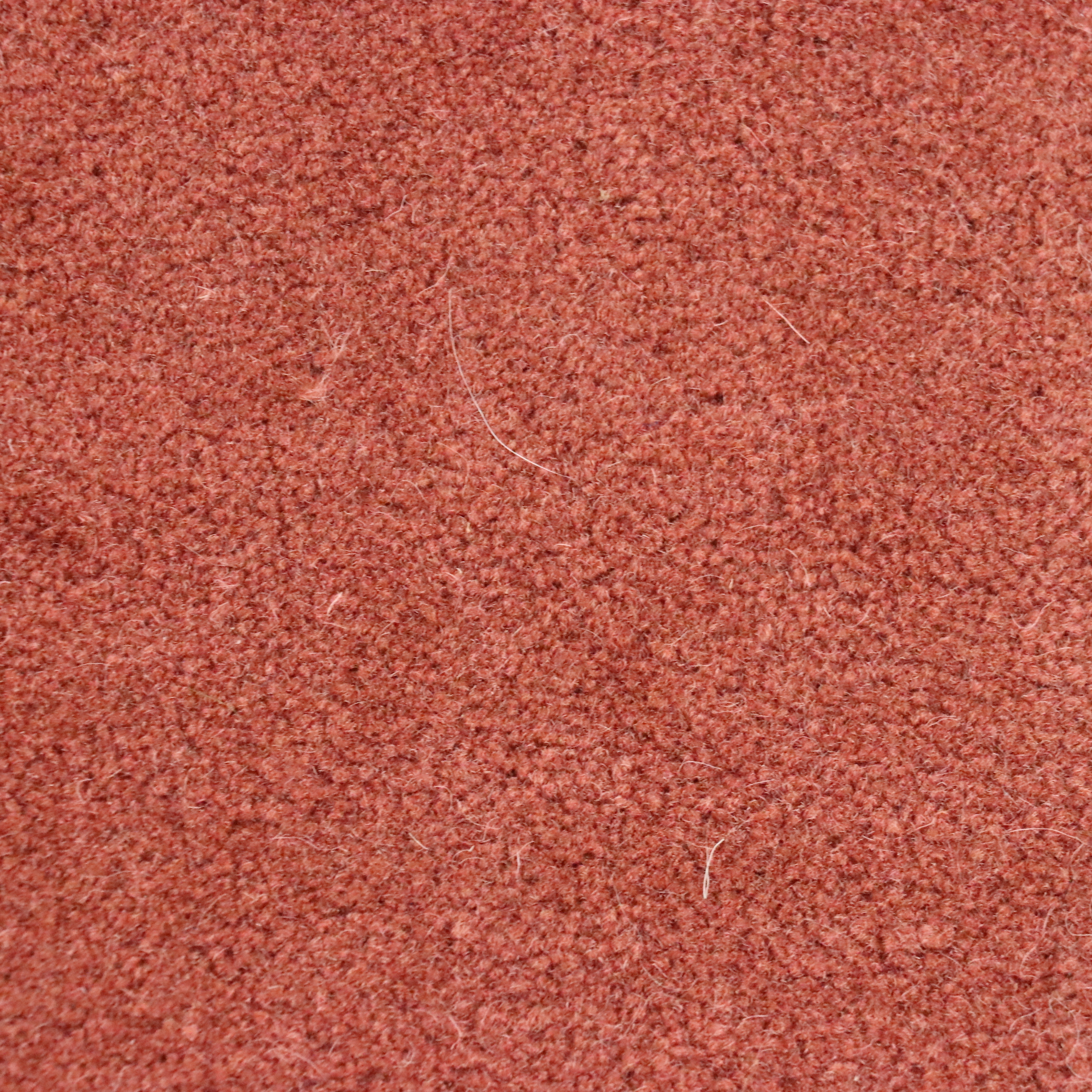 9' x 12'3 Hand-Knotted Fitz & LaRue Persian Sarouk Room Sized Rug