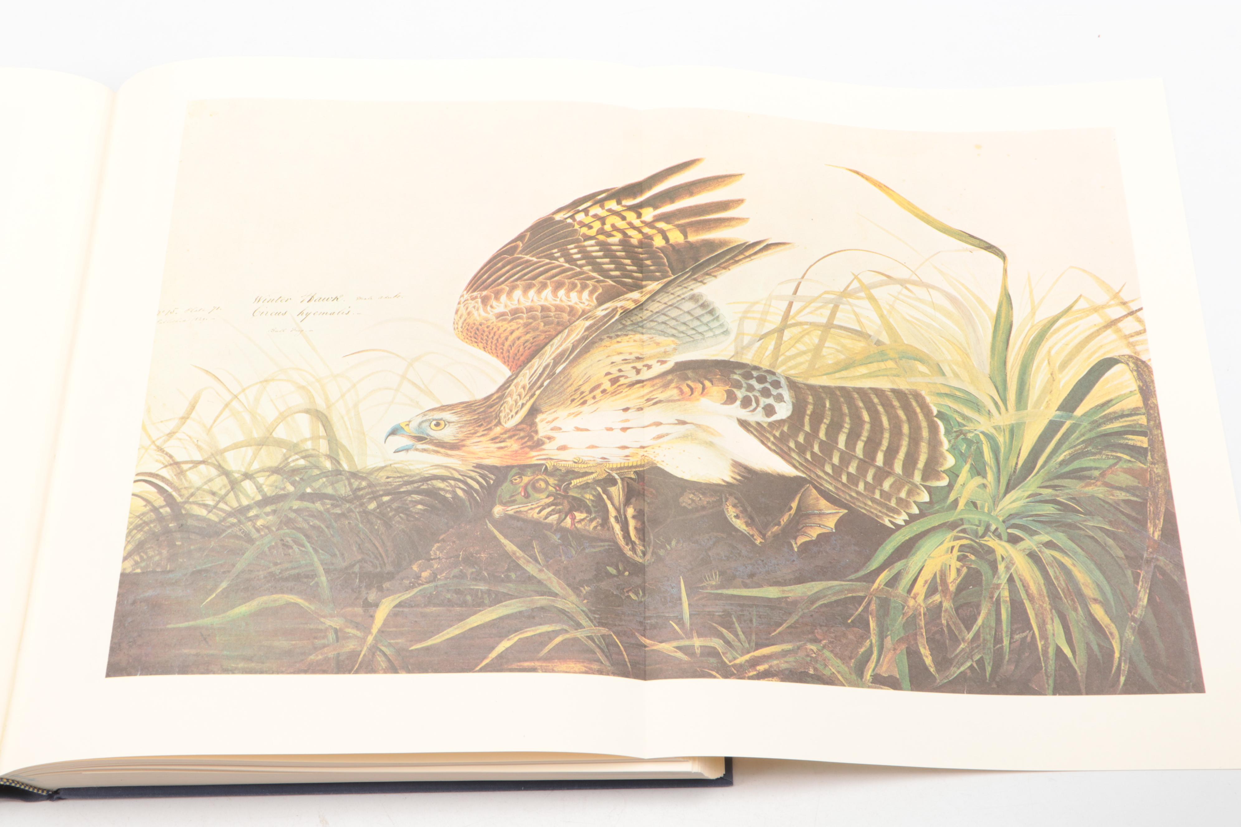 "The Original Water-Color Paintings for The Birds of America" by Audubon