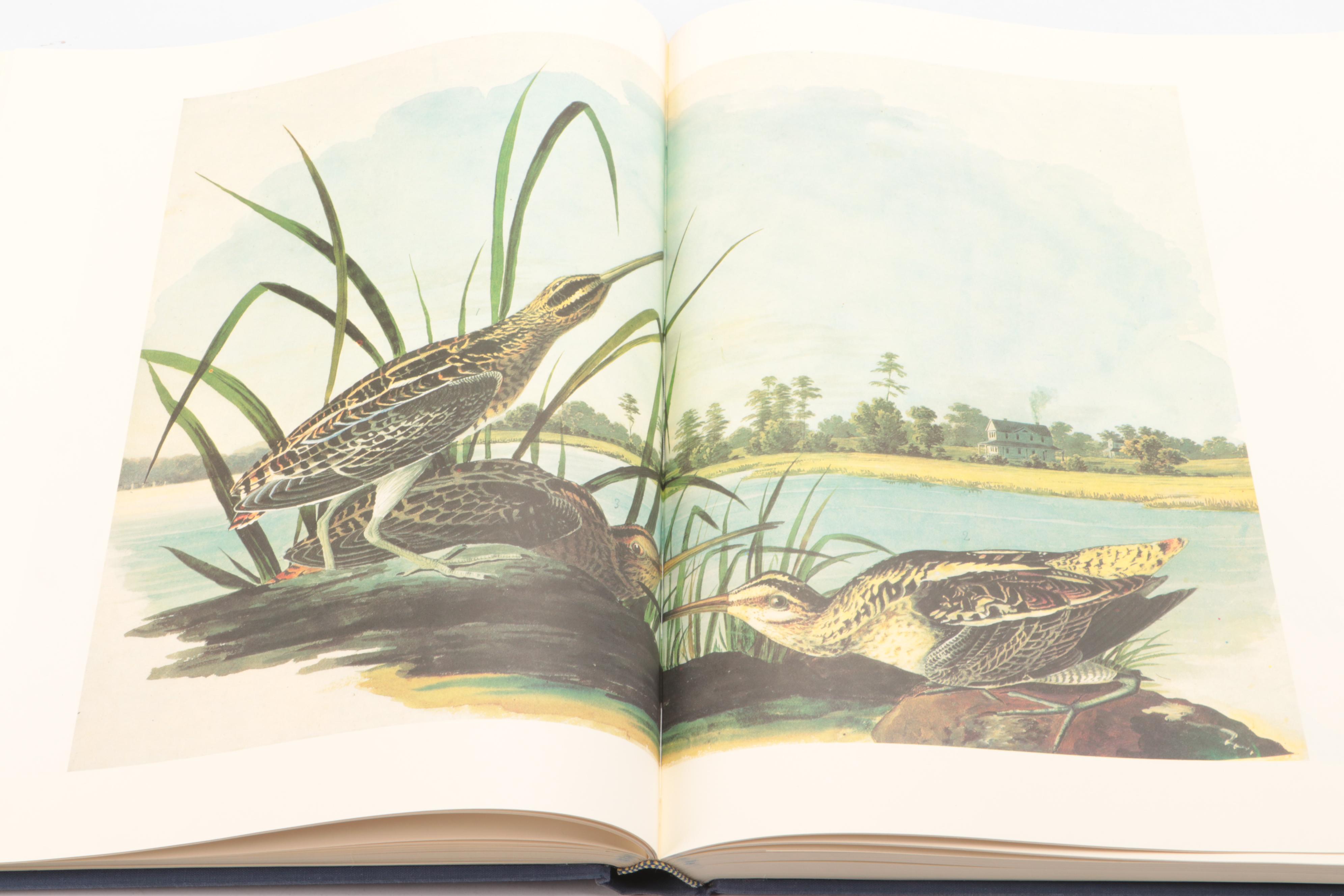 "The Original Water-Color Paintings for The Birds of America" by Audubon