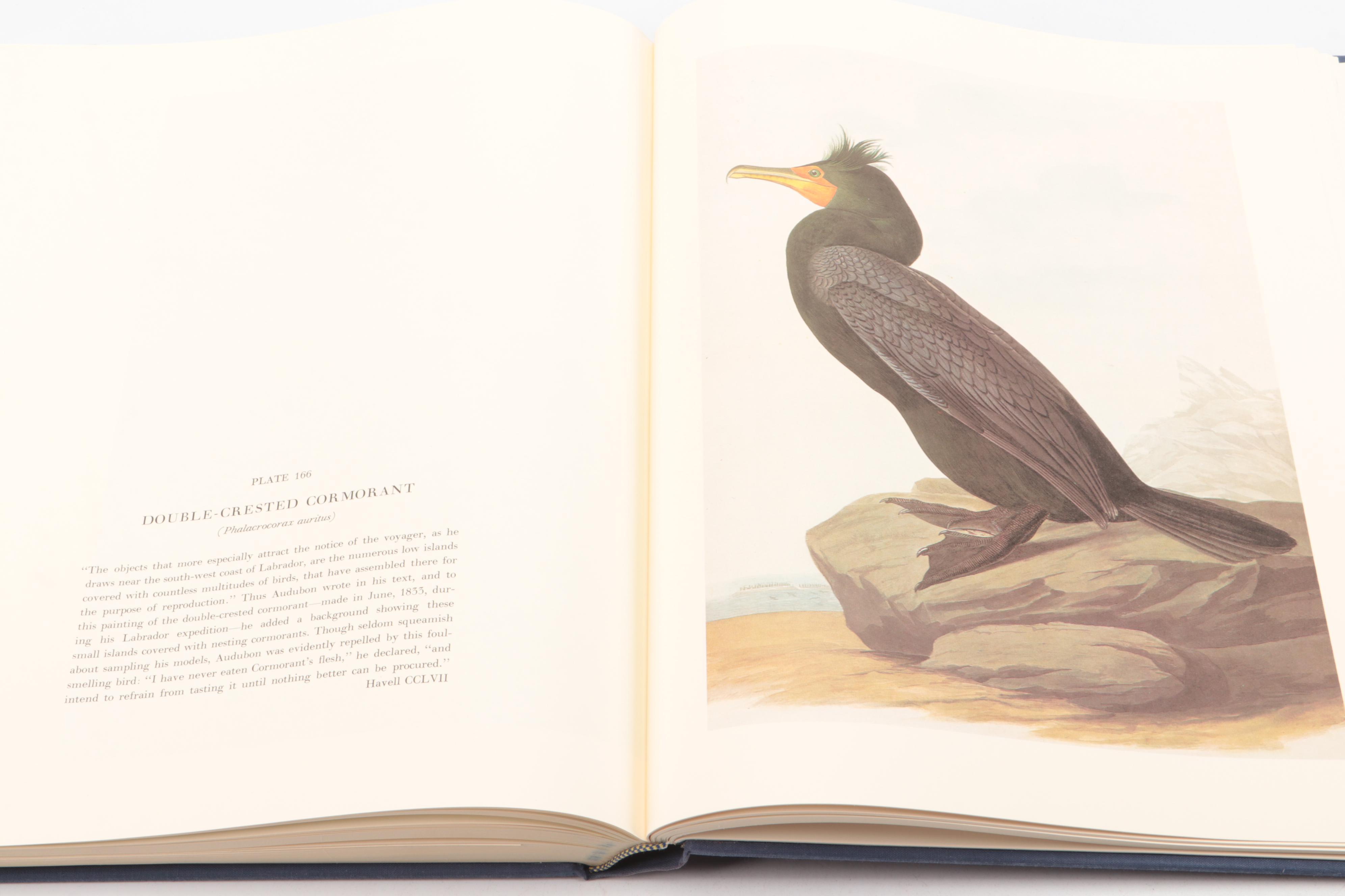 "The Original Water-Color Paintings for The Birds of America" by Audubon