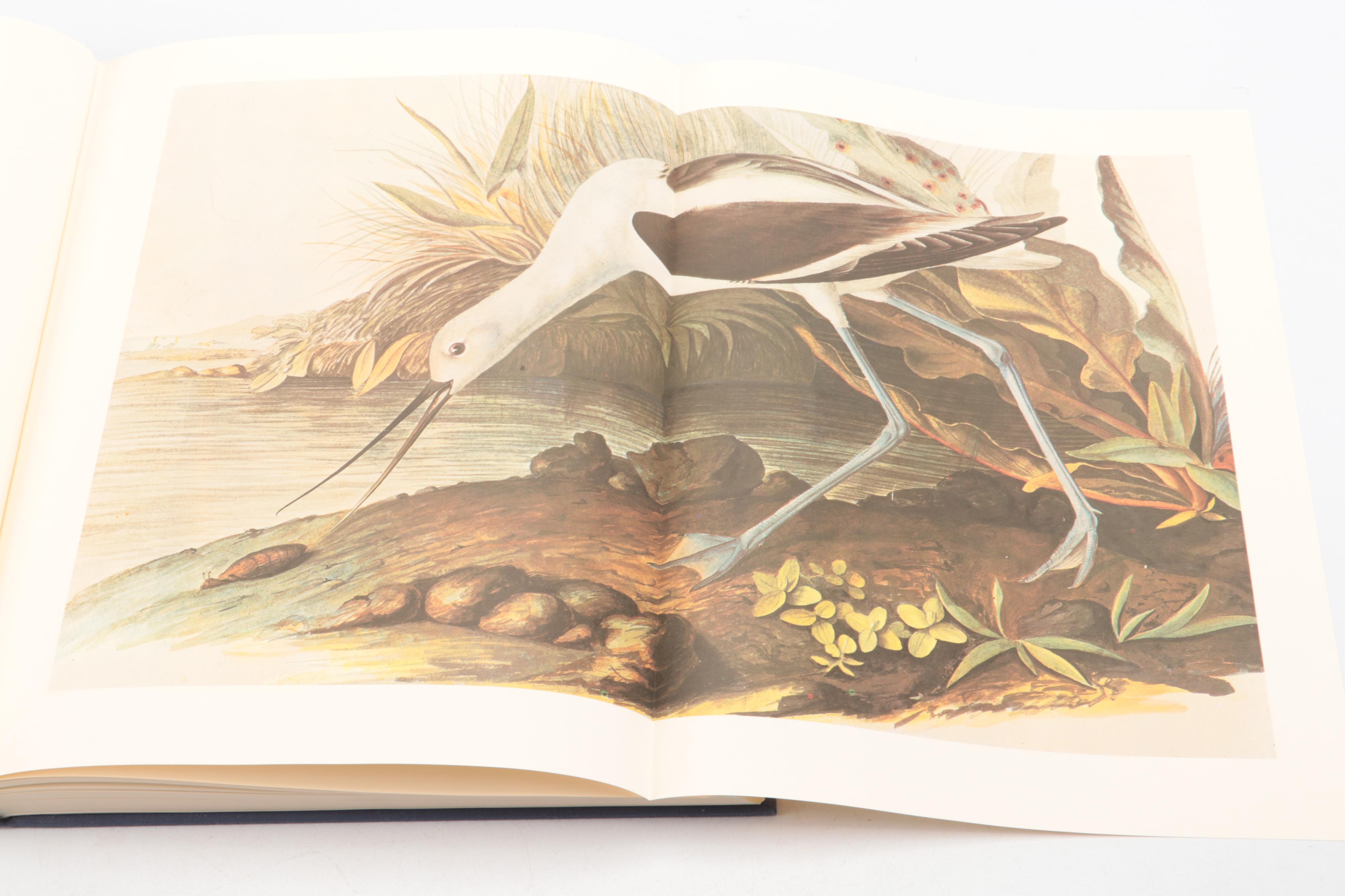 "The Original Water-Color Paintings for The Birds of America" by Audubon