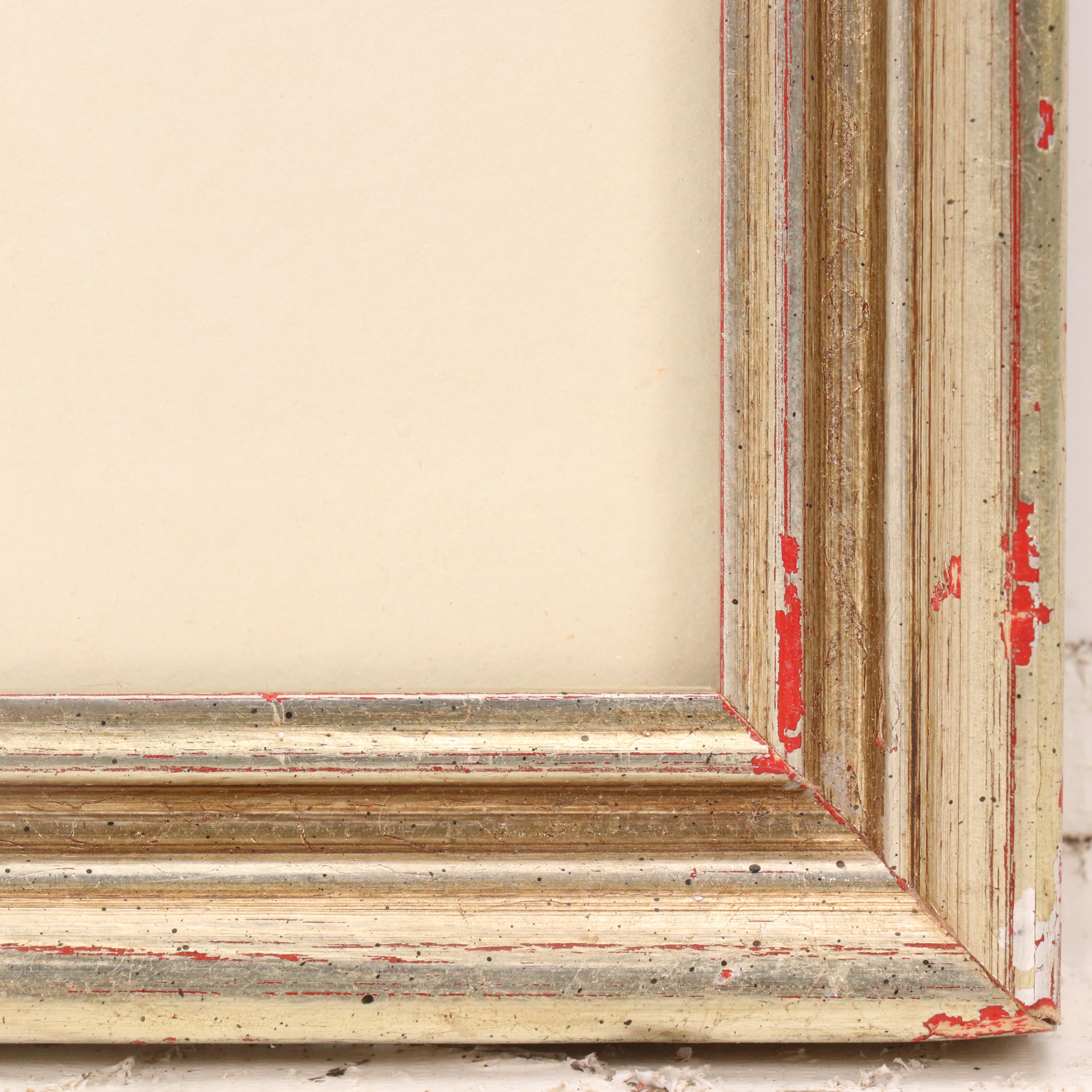 Ornithological Engraving from Alexander Wilson's "American Ornithology"