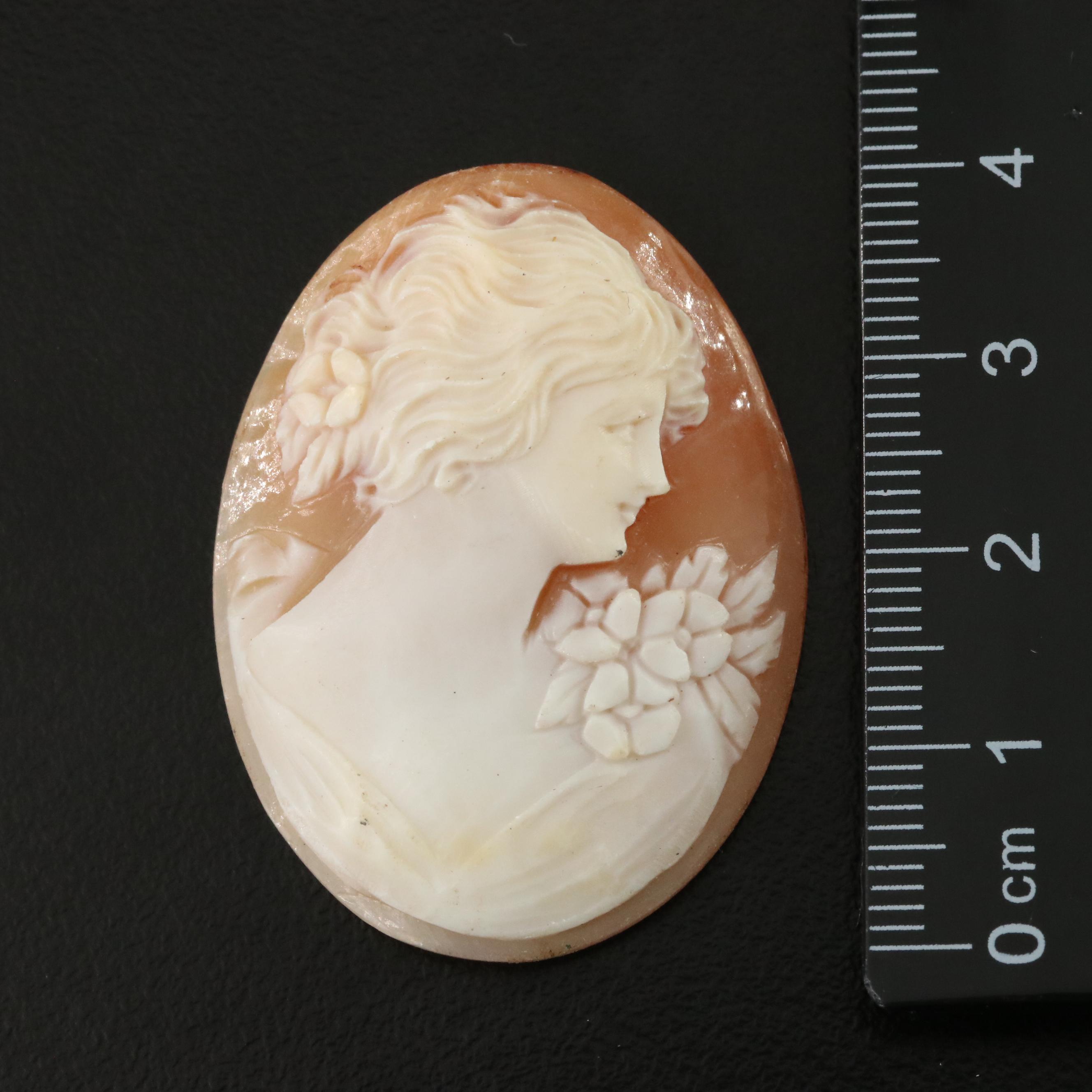 Loose Gemstone Cameos Including Shell, Tiger's Eye and Onyx